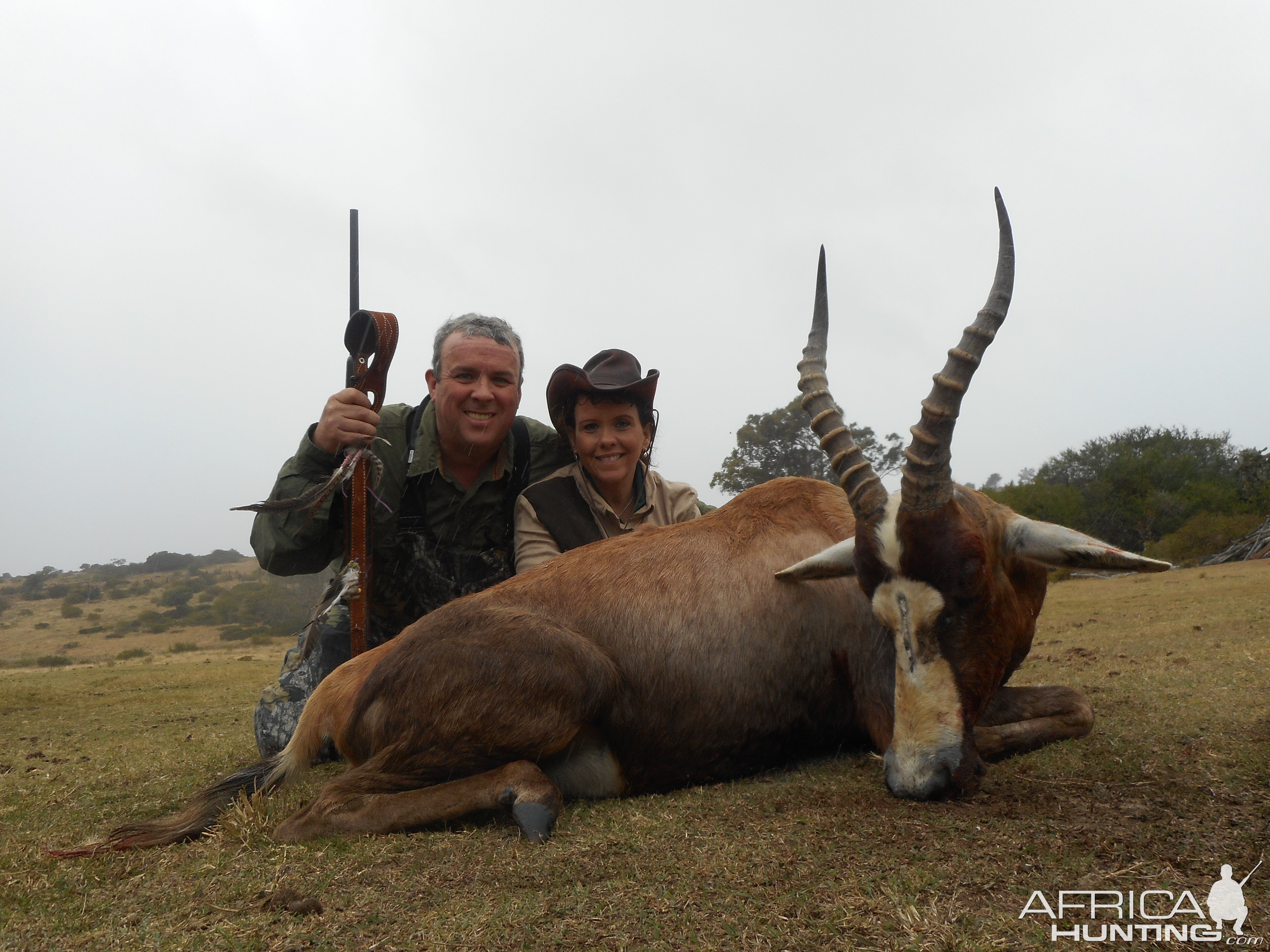 Blesbok Hunting