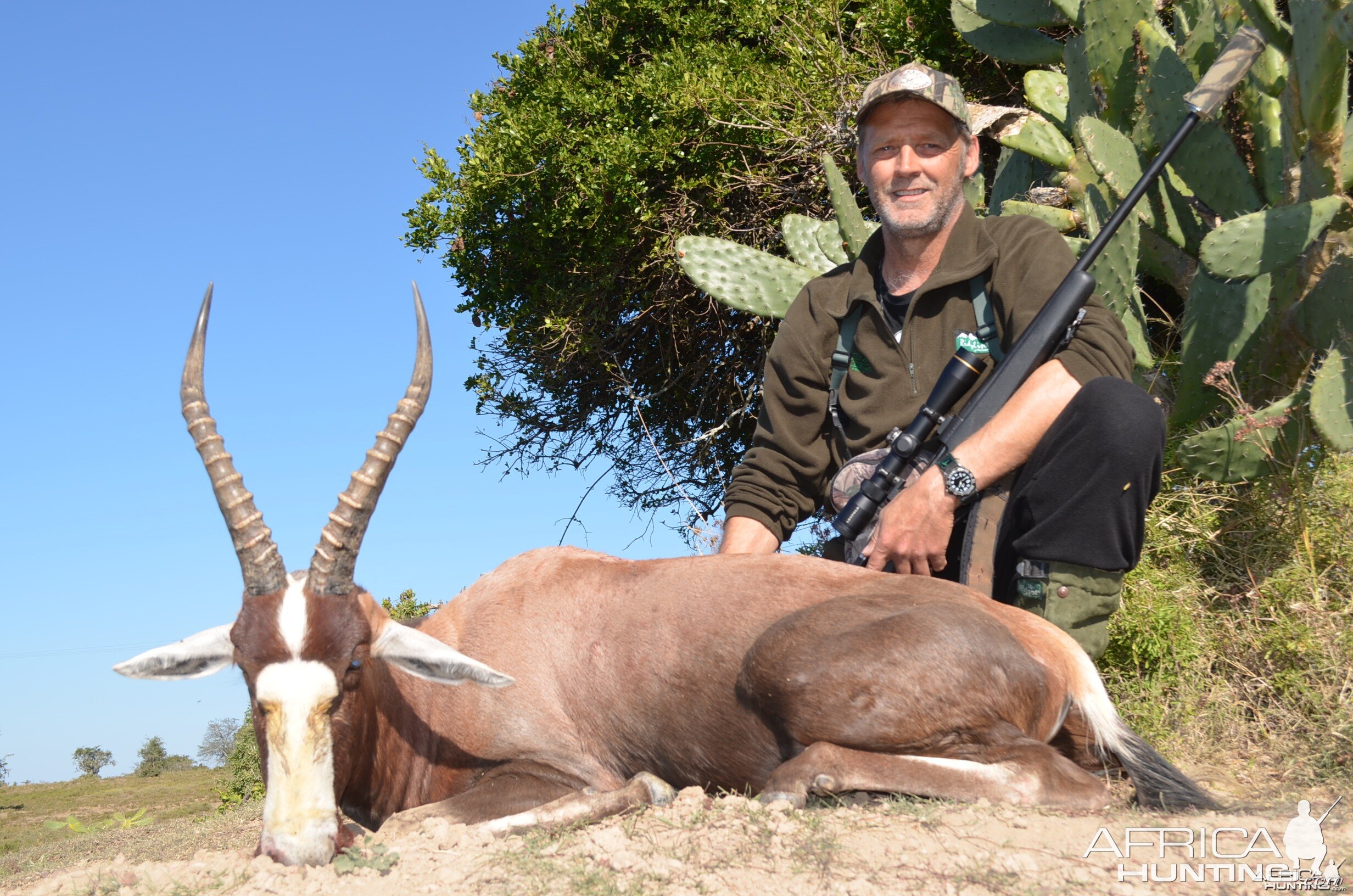 Blesbok KMG Hunting Safaris