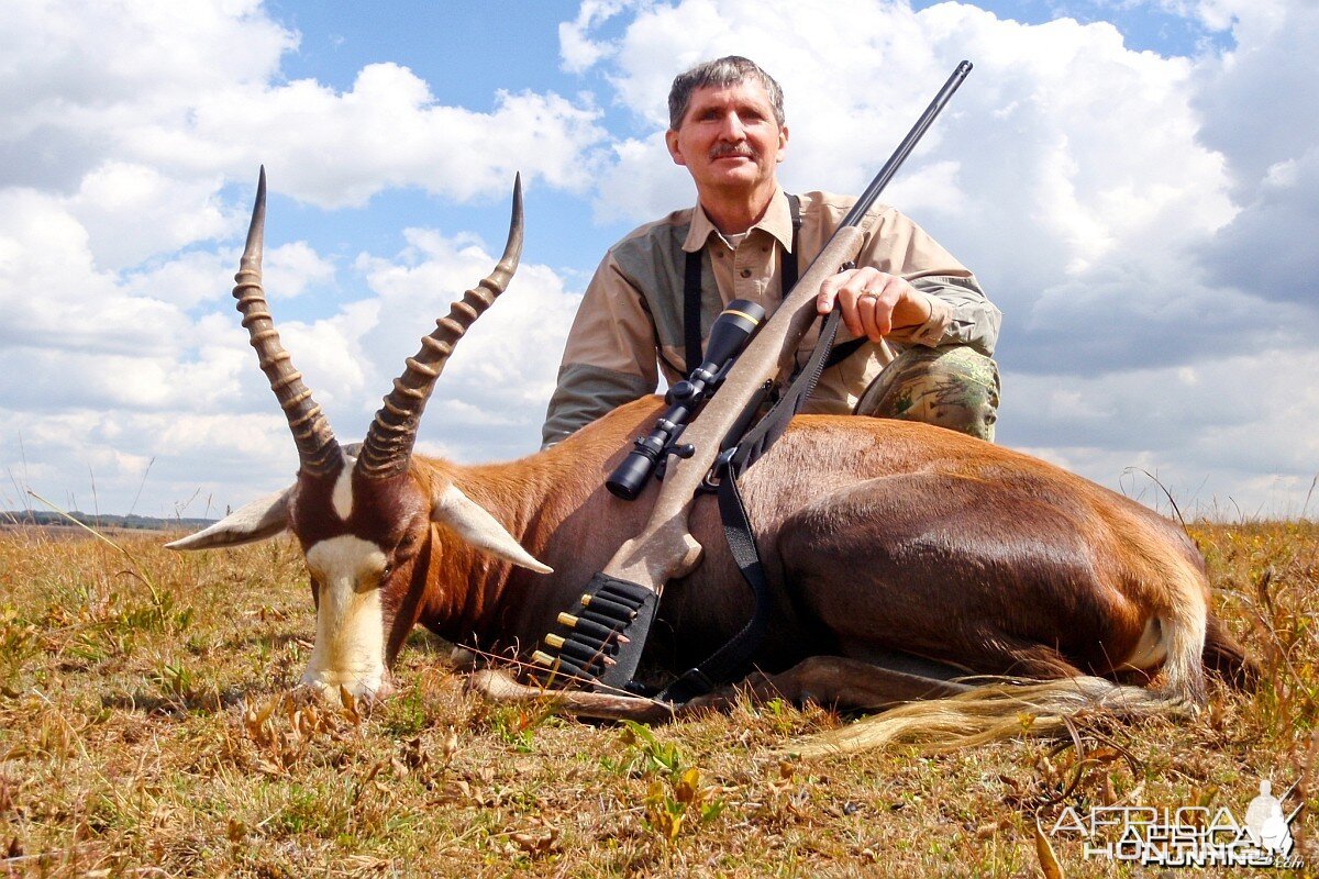 Blesbok Limpopo South Africa 2012