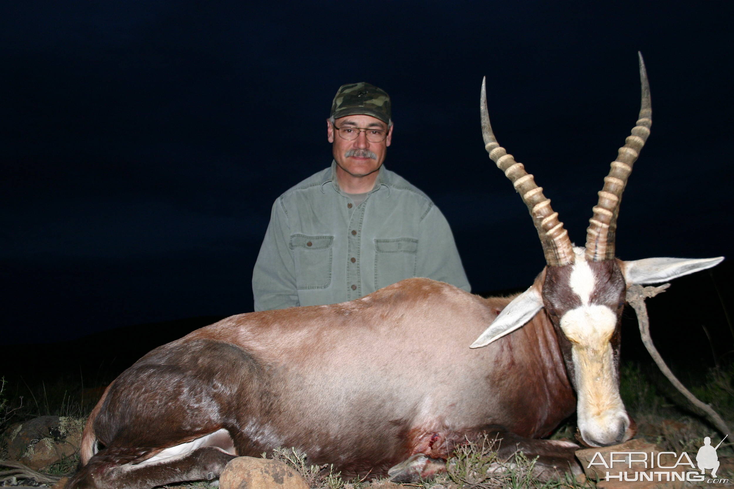 Blesbok May 2009