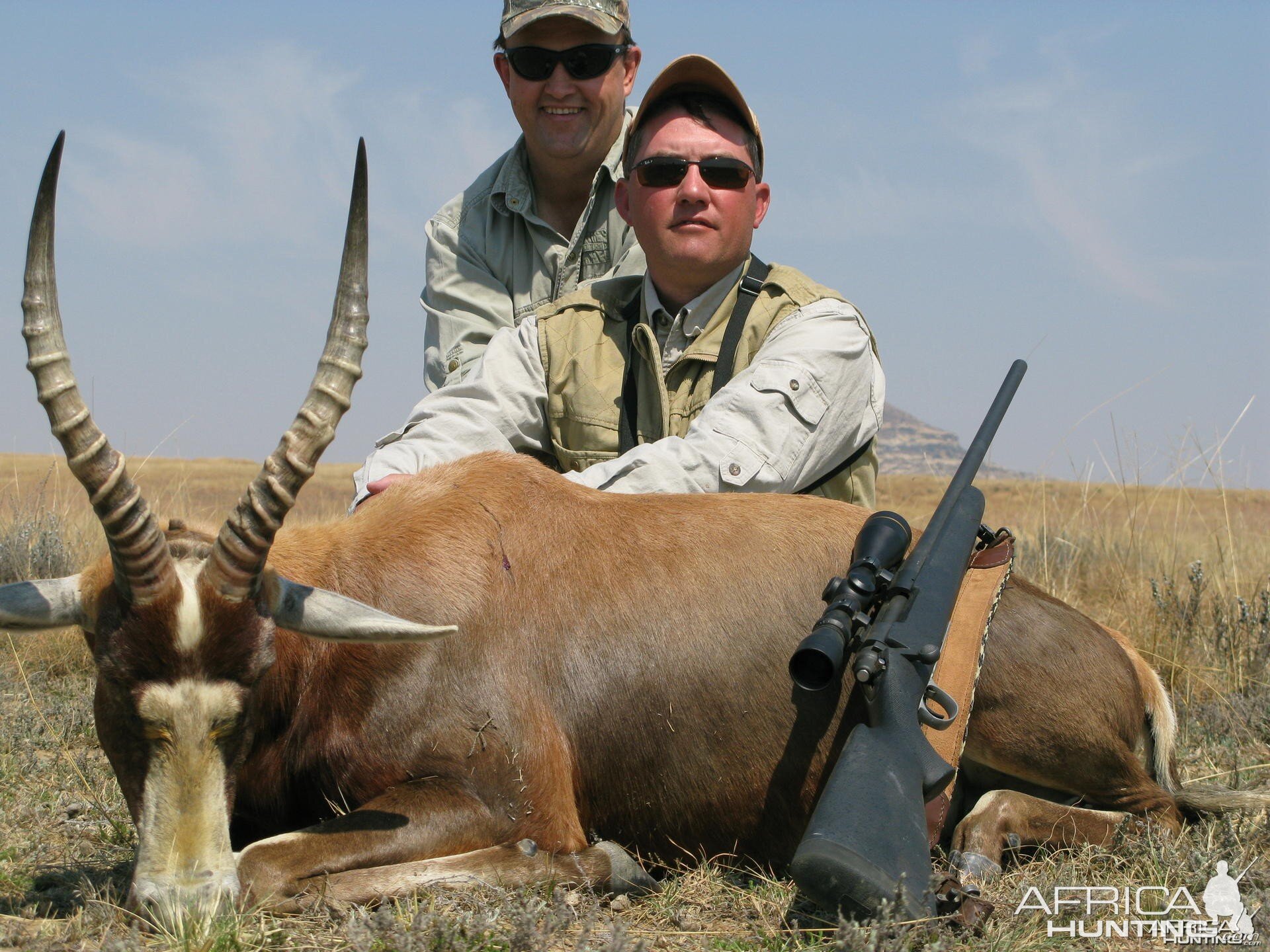 Blesbok South Africa