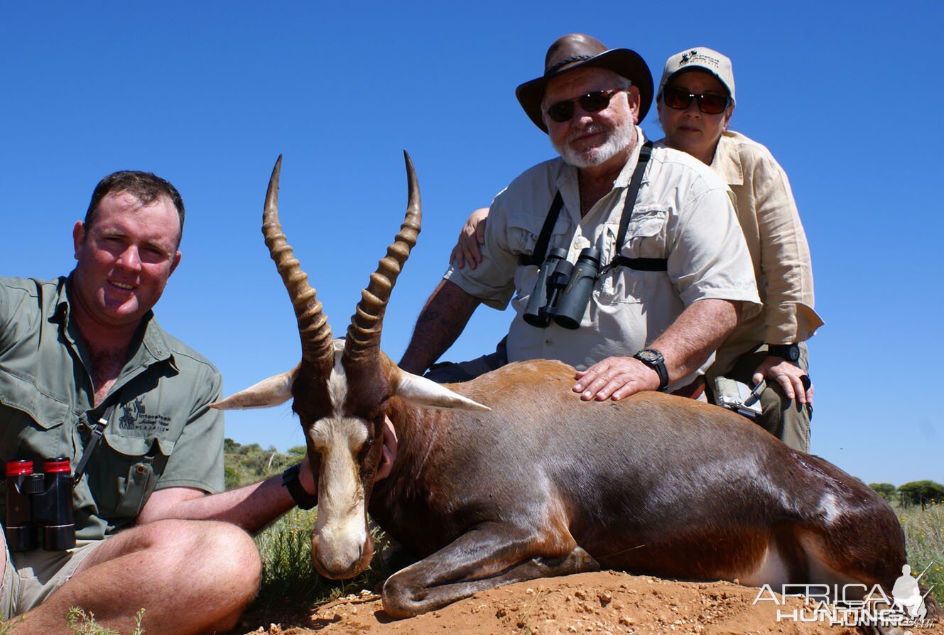 Blesbok