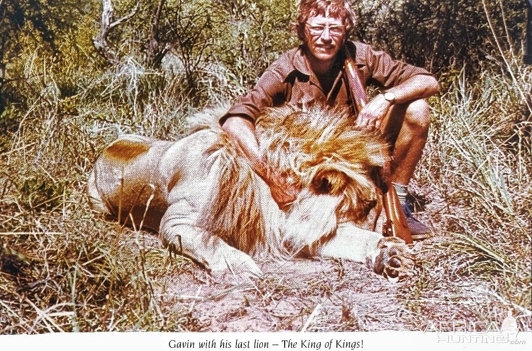 Blond Lion Hunt Botswana