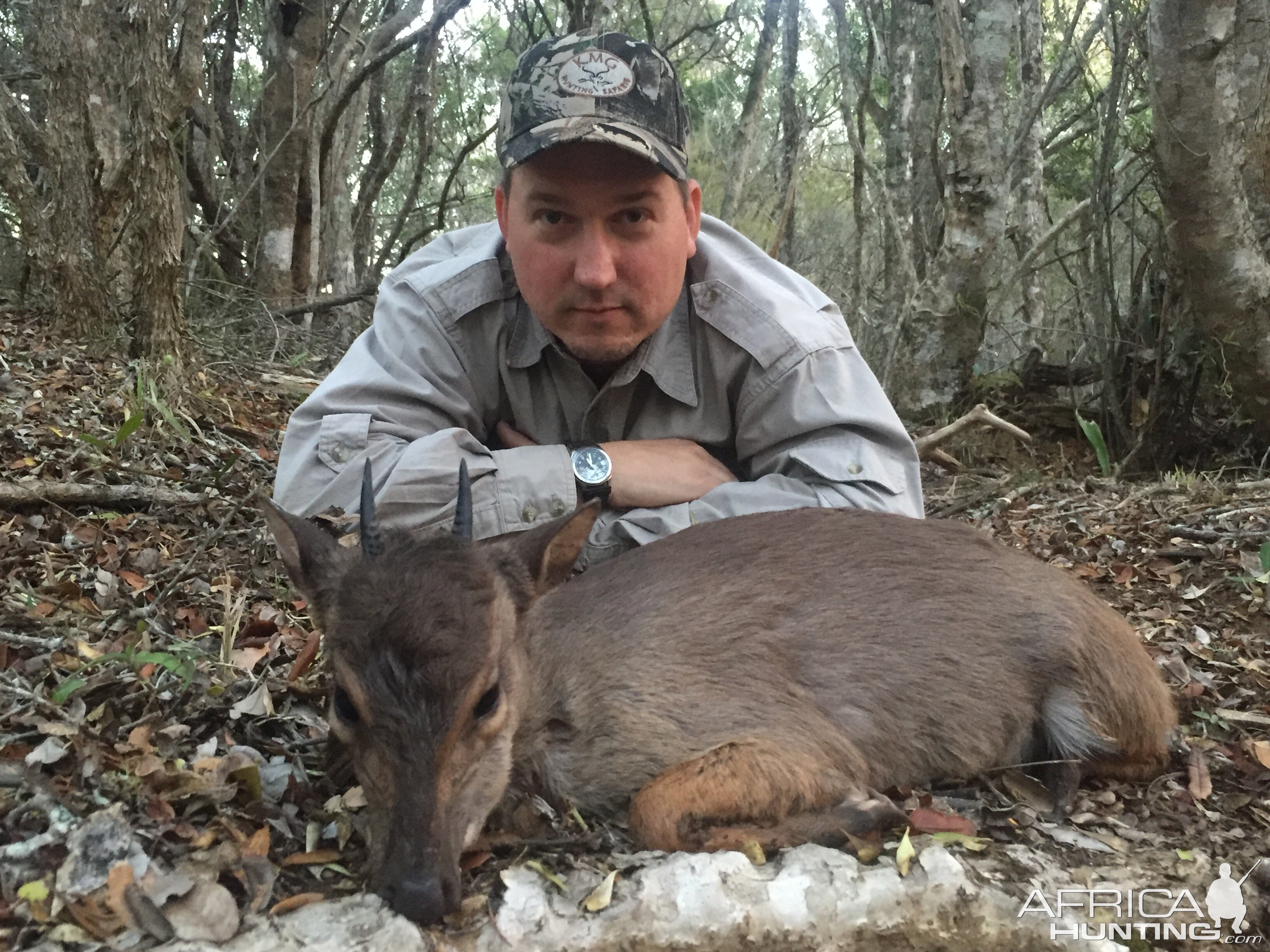 Blue Duiker Hunt South Africa