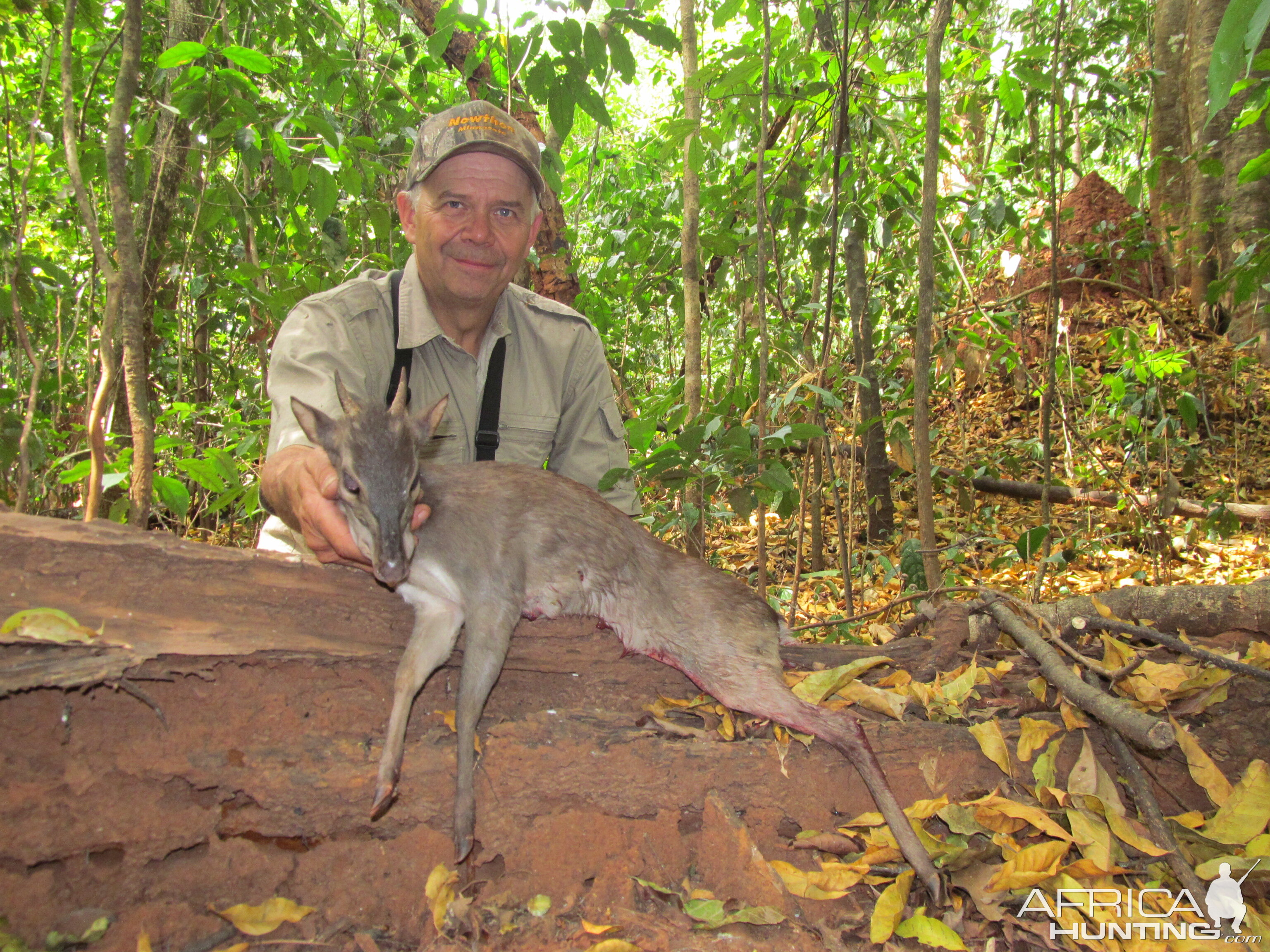 Blue Duiker hunt with CAWA in CAR