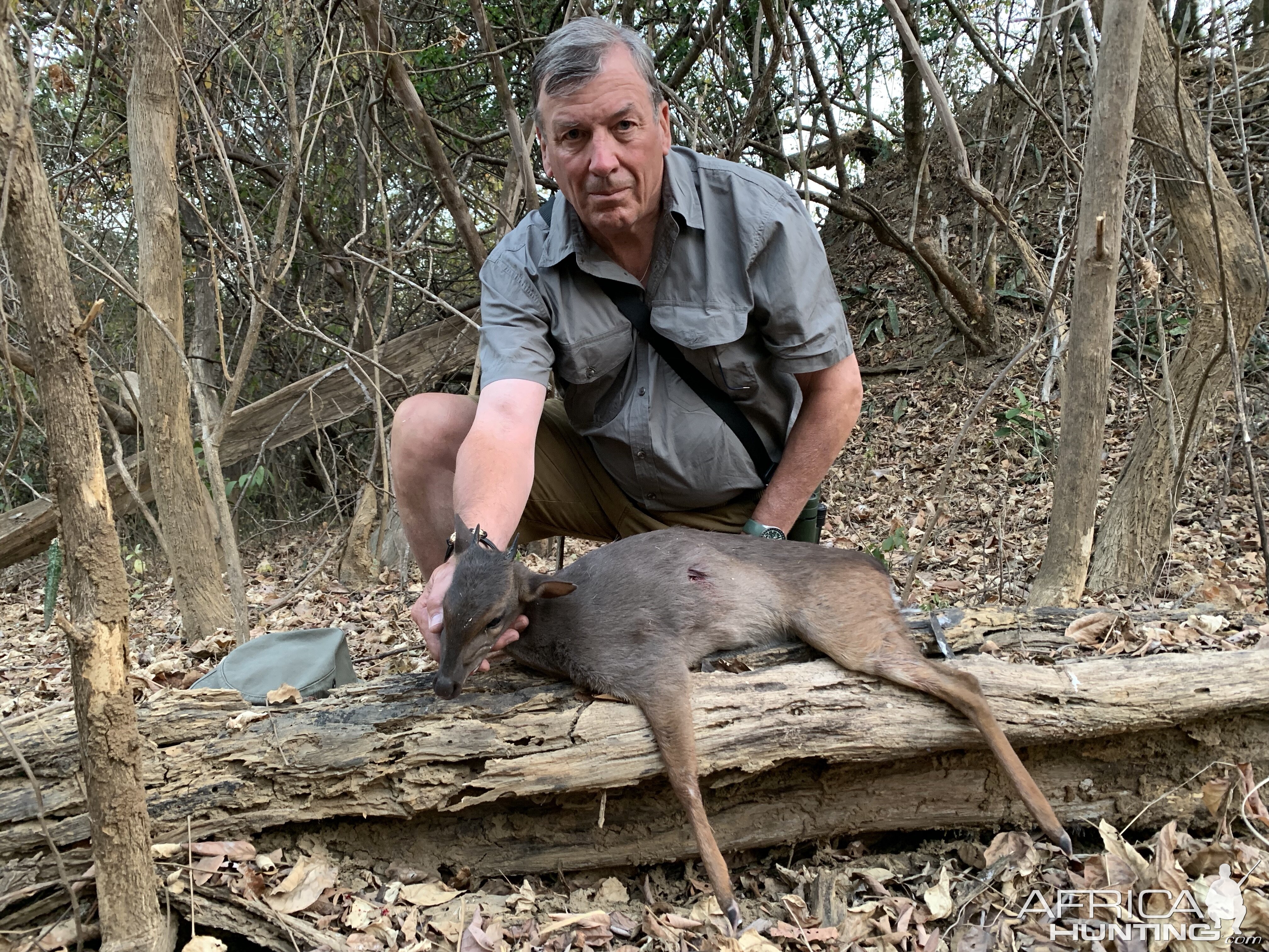 Blue Duiker Hunt Zambia