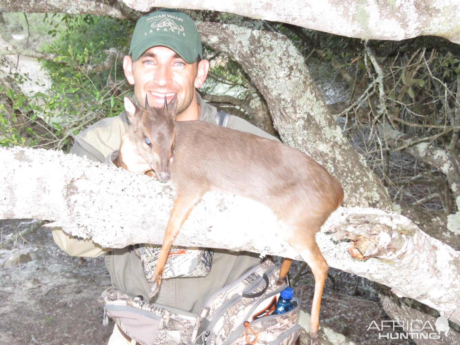 Blue Duiker Hunt