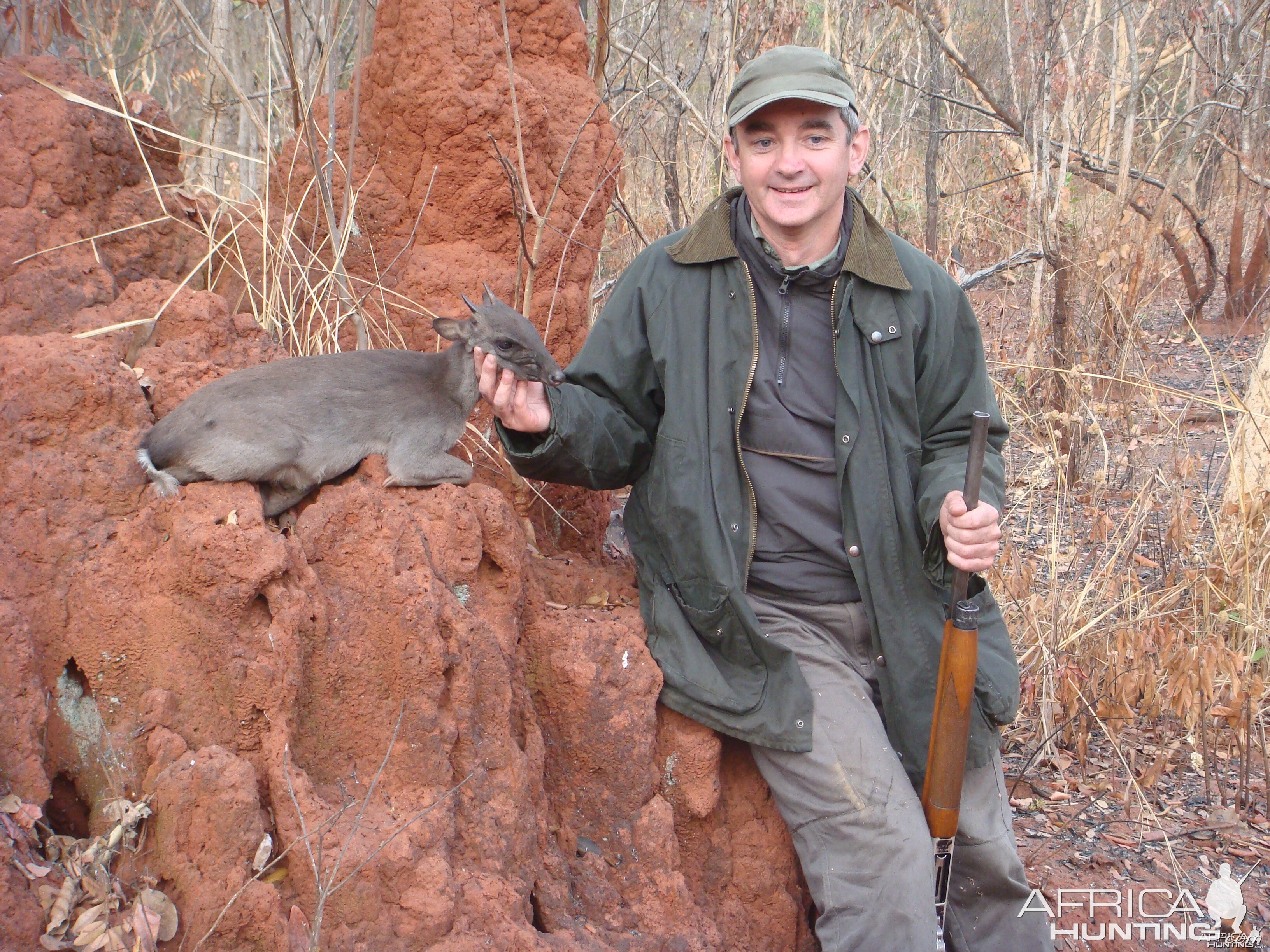 Blue Duiker hunted in Central Africa with Club Faune