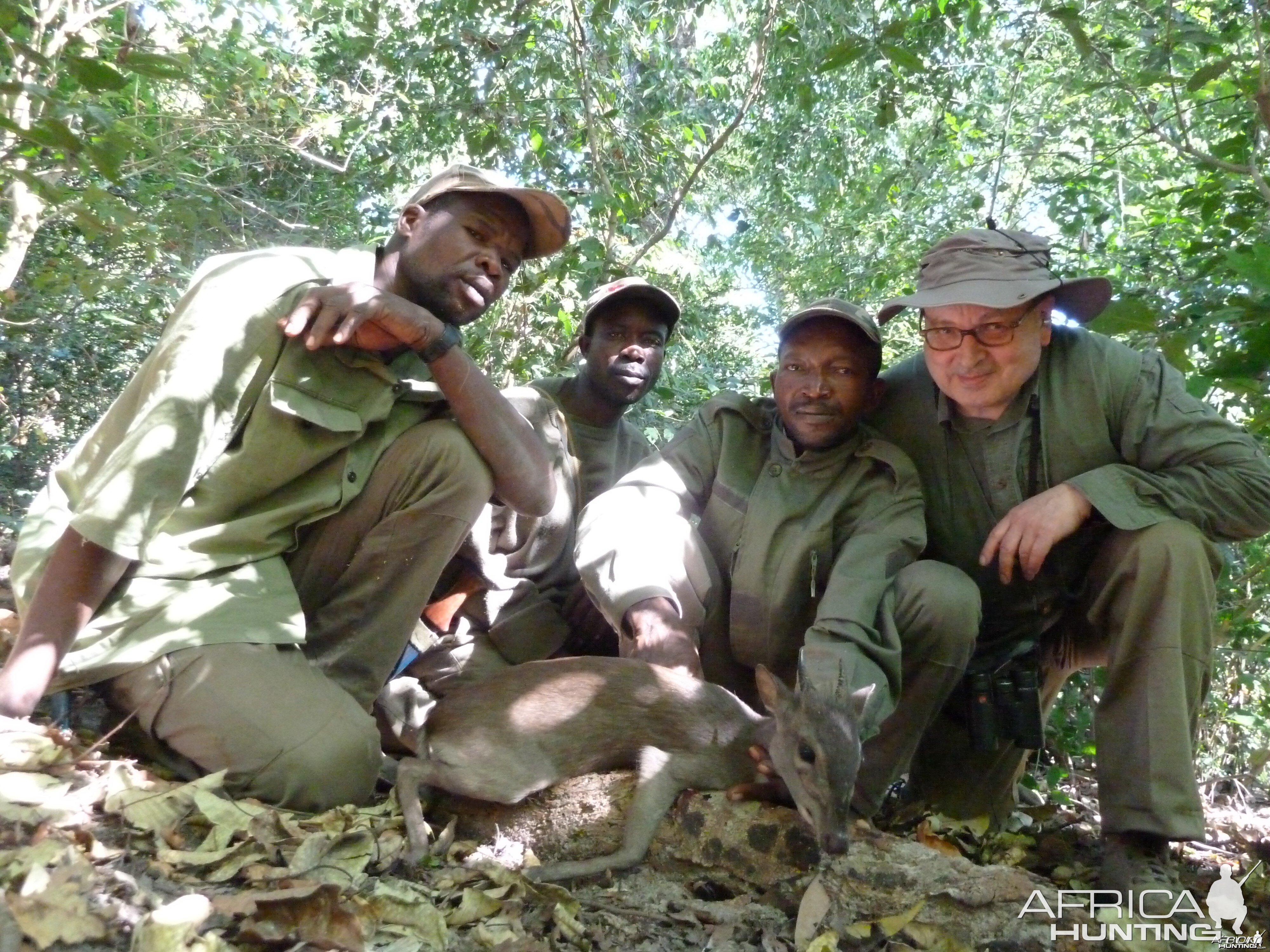 Blue Duiker hunted in Central Africa with Club Faune