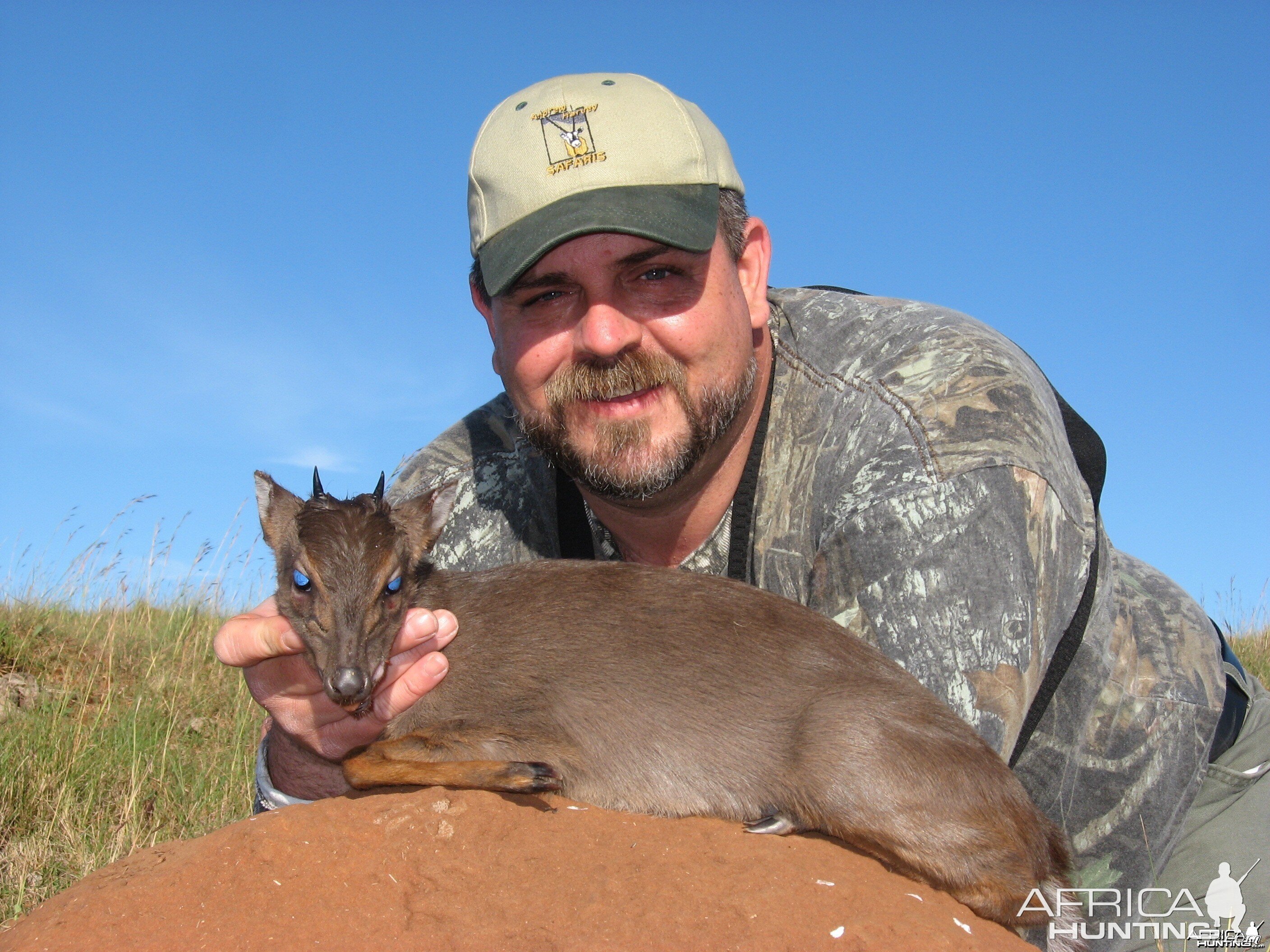 Blue Duiker hunted with Andrew Harvey Safaris