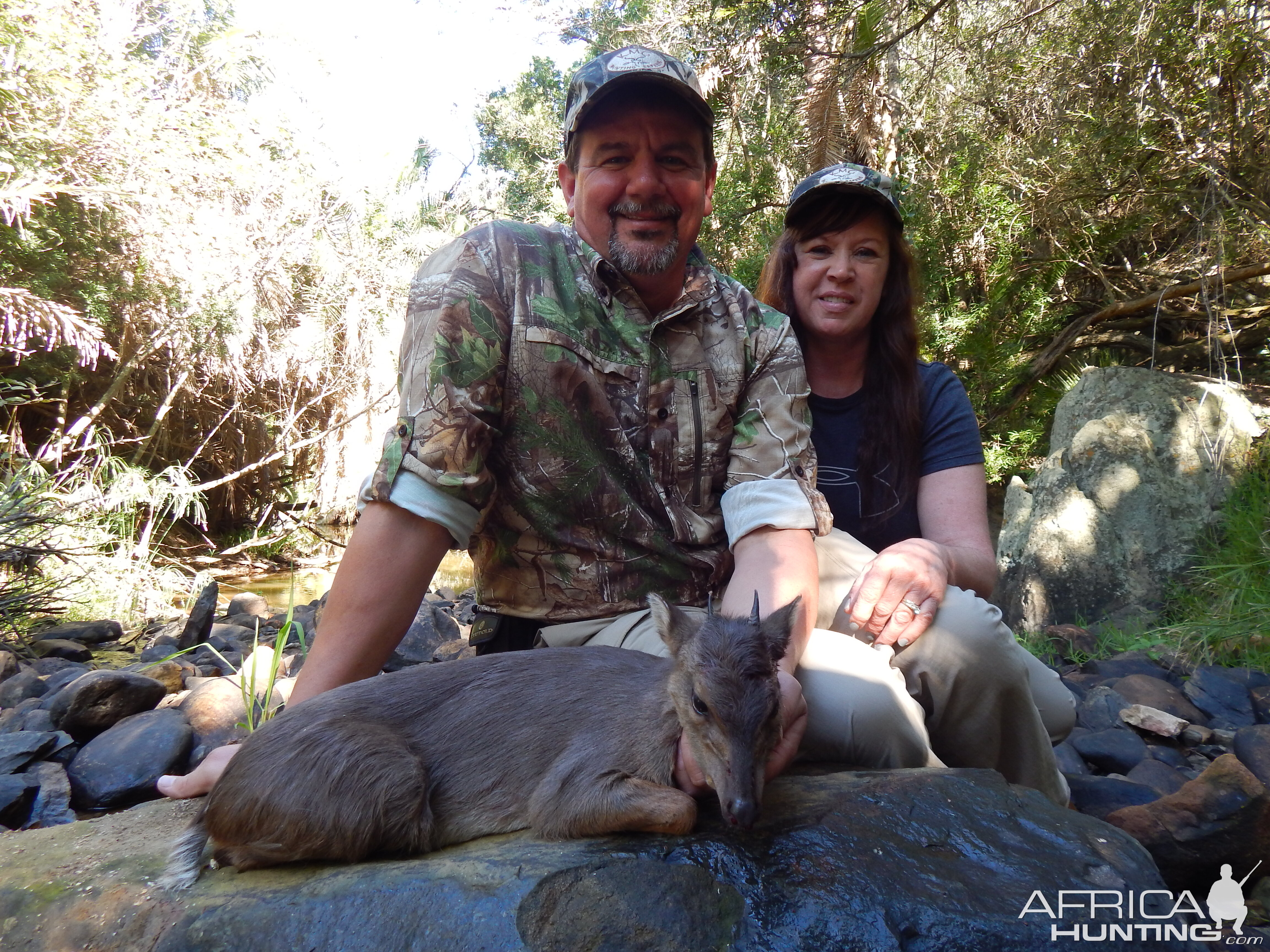 Blue Duiker Hunting South Africa