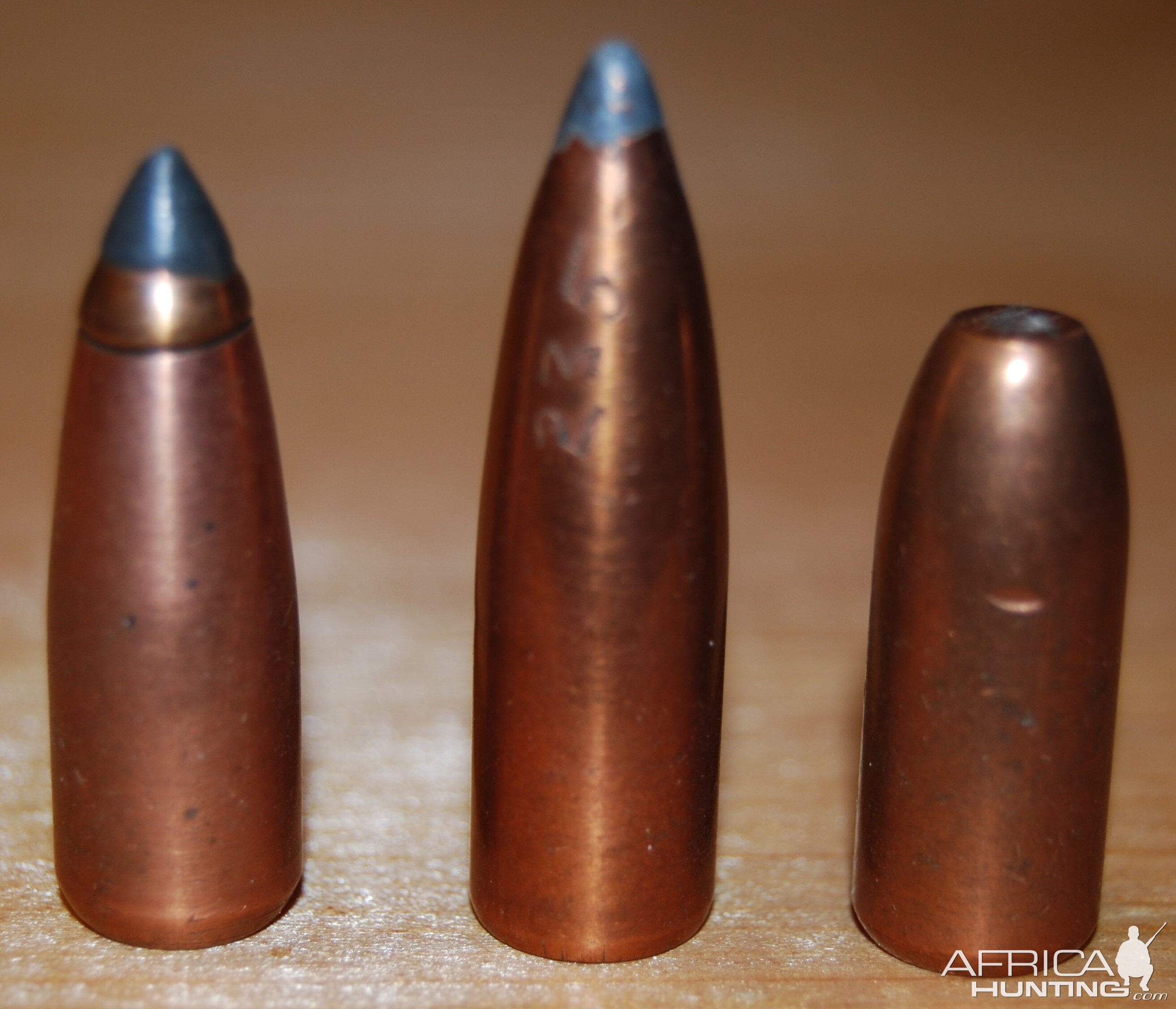 Blue Mountain & Elkhorn 375 Bullets
