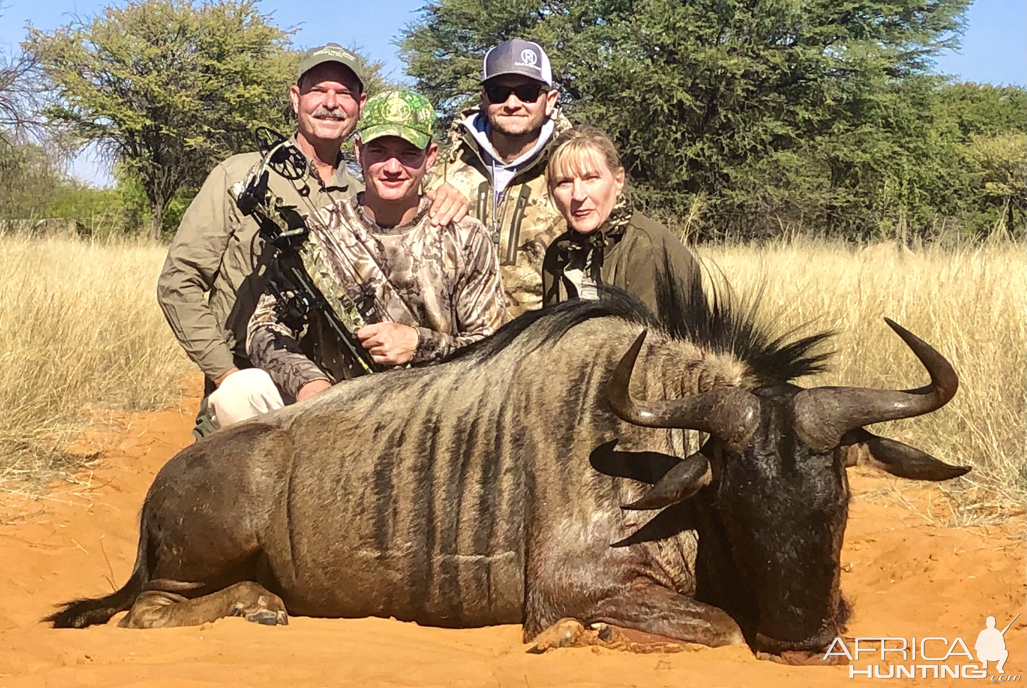 Blue Wildebeest Bow Hunting South Africa