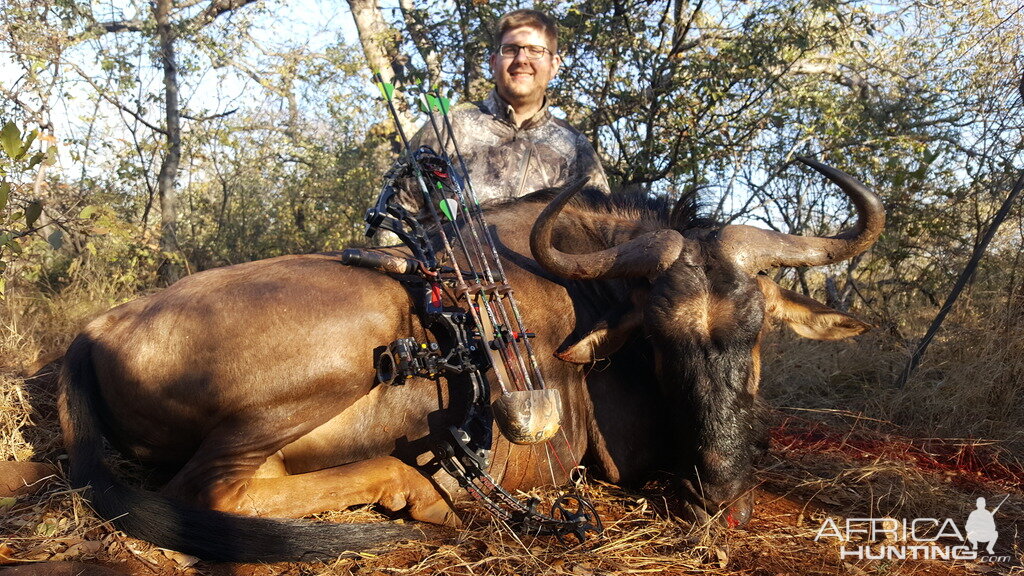 Blue WIldebeest Bow Hunting South Africa