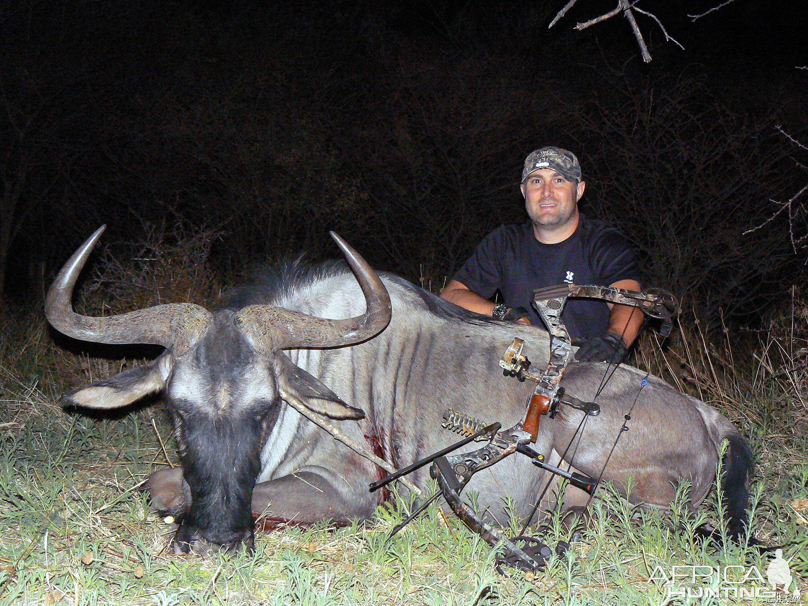 Blue Wildebeest bowhunted at Ozondjahe Hunting Safaris Namibia