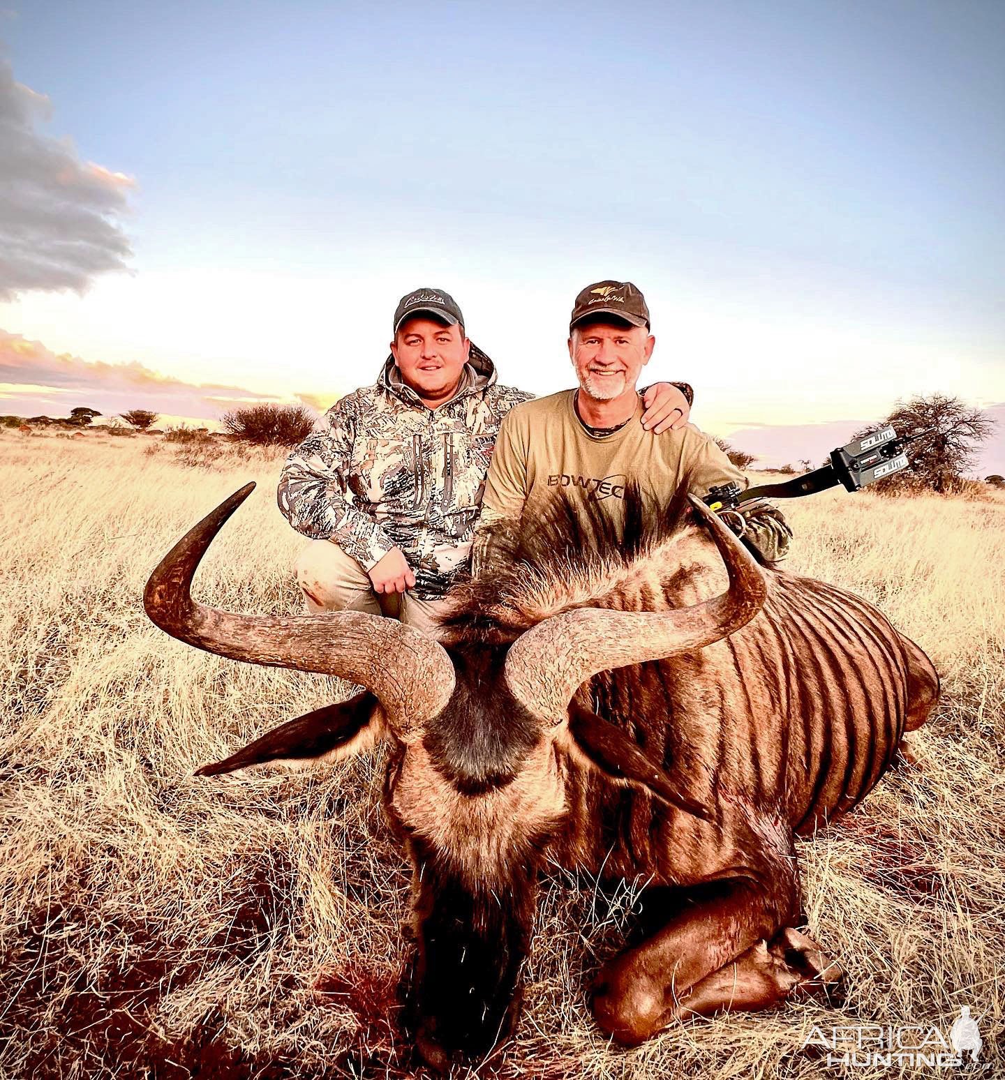 Blue Wildebeest Bull Bow Hunting South Africa