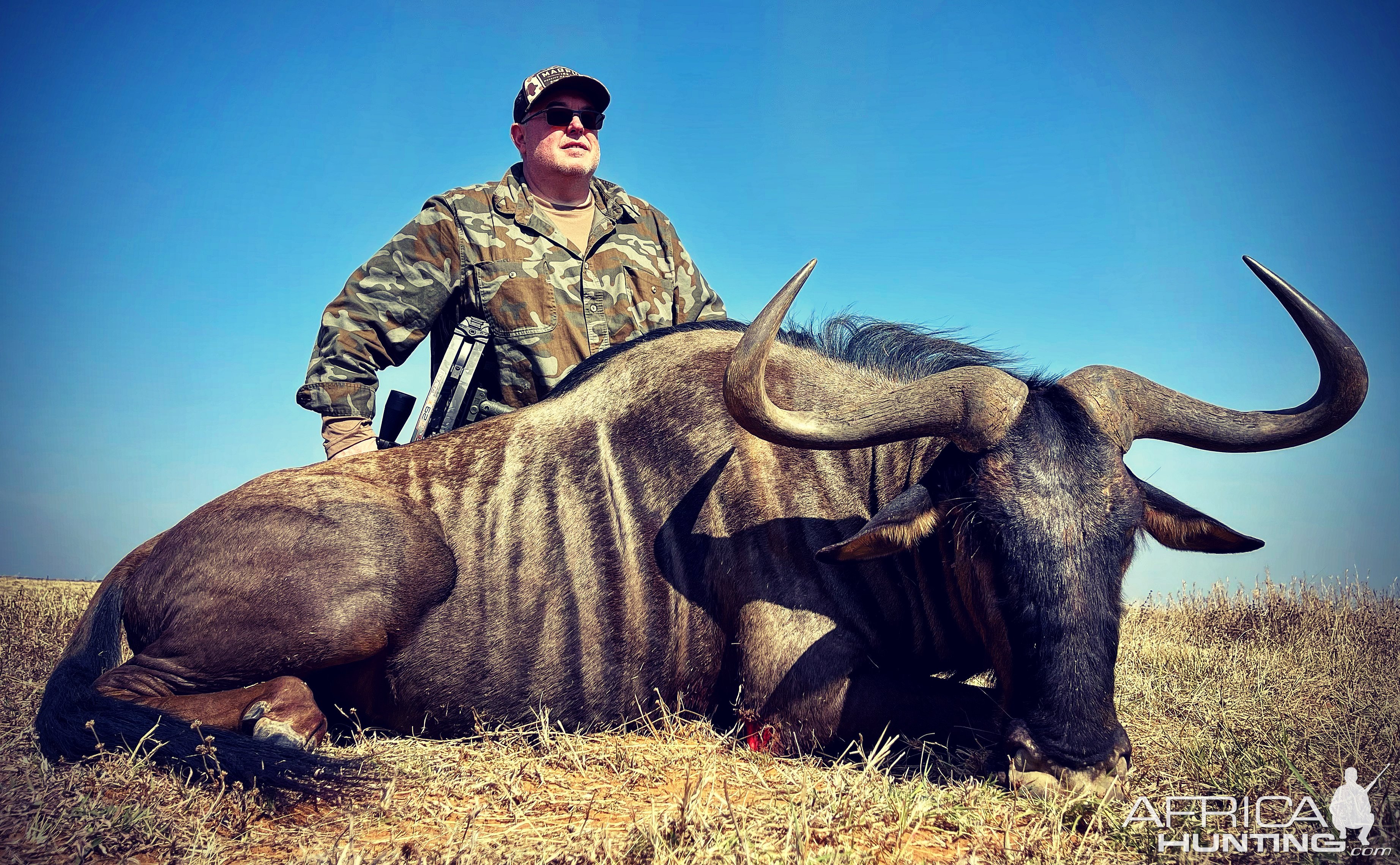 Blue Wildebeest Crossbow Hunt South Africa