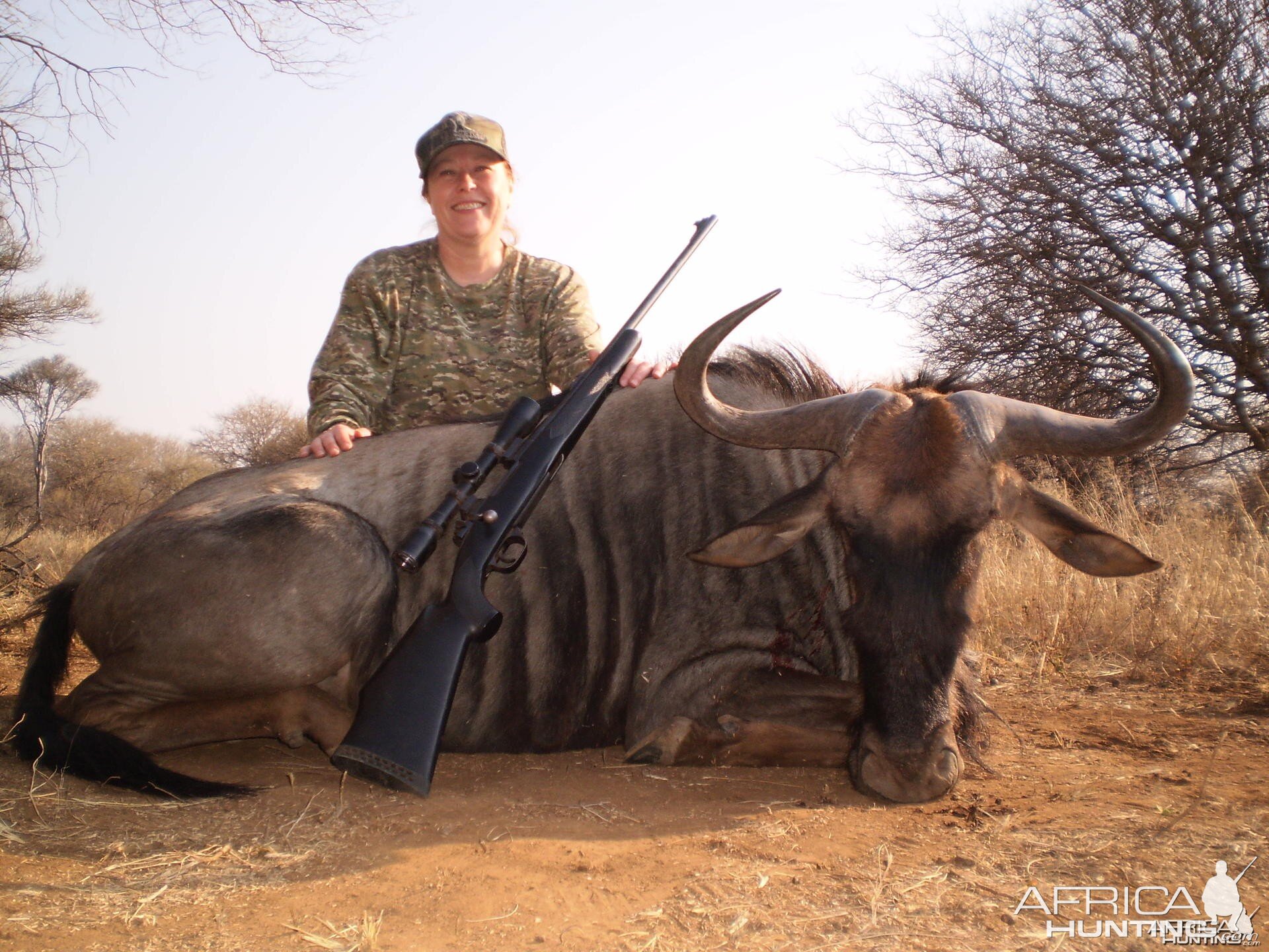 Blue Wildebeest hunt in South Africa