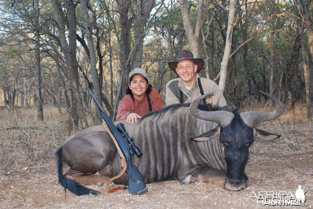 Blue Wildebeest Hunt Limpopo South Africa