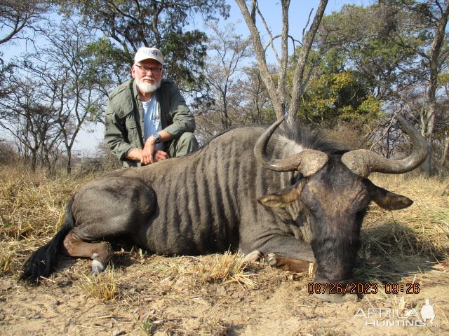 Blue Wildebeest Hunt Limpopo South Africa