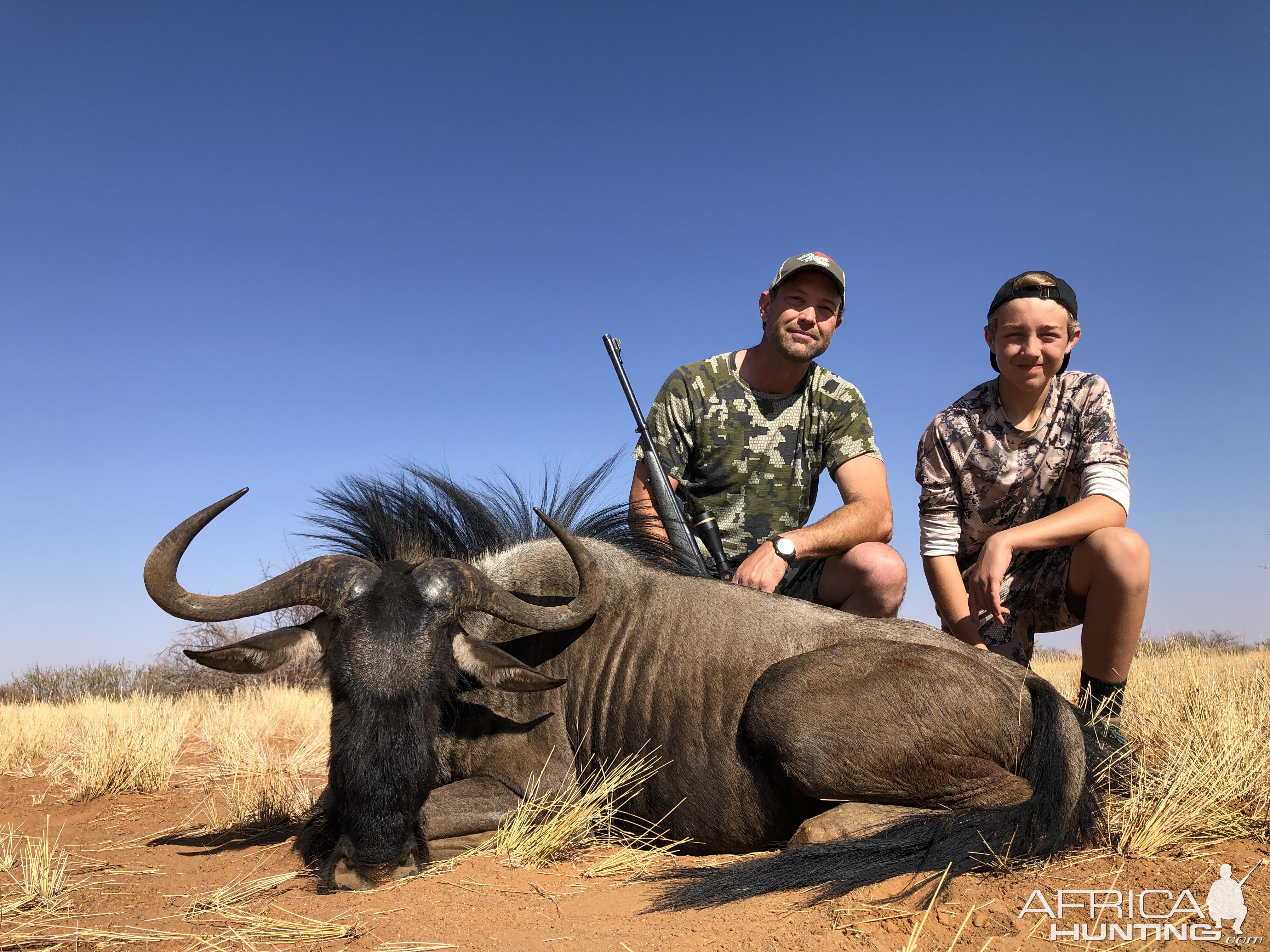 Blue Wildebeest Hunt Namibia