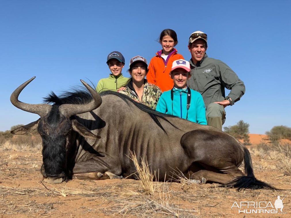 Blue Wildebeest Hunt Namibia