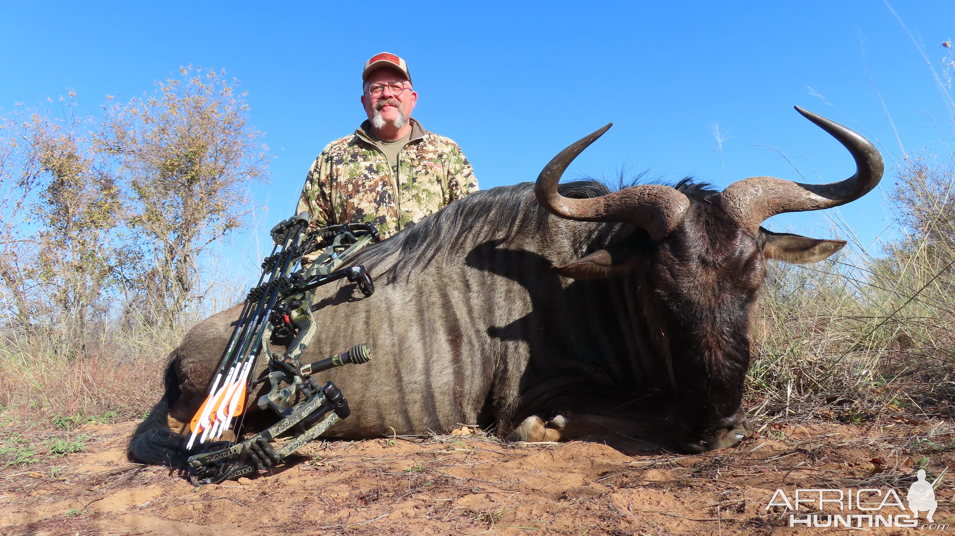 Blue Wildebeest Hunt South Africa