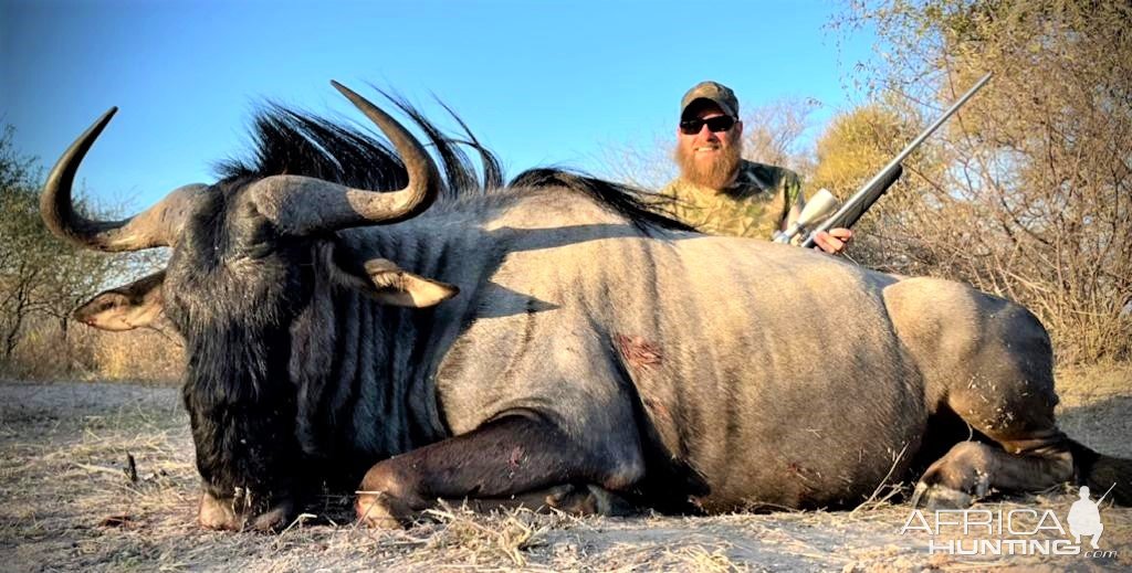 Blue Wildebeest Hunt South Africa