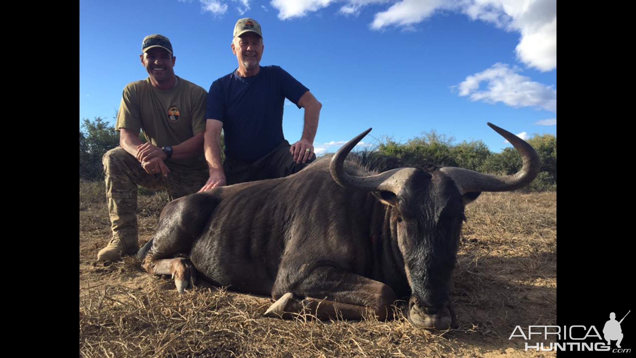 Blue Wildebeest Hunt South Africa