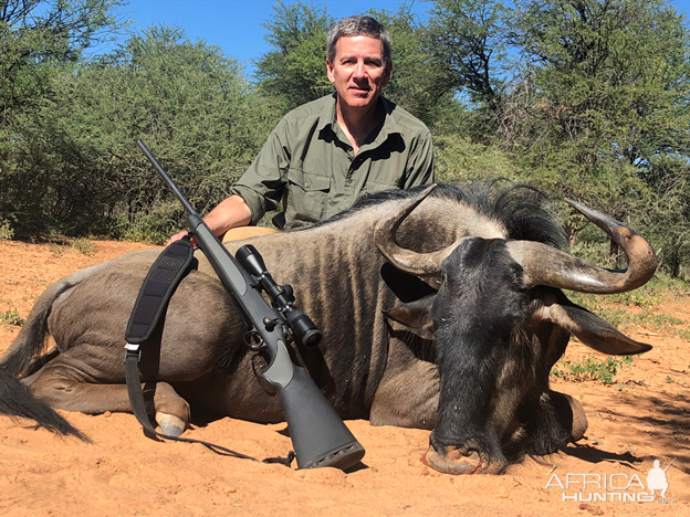 Blue Wildebeest Hunt South Africa