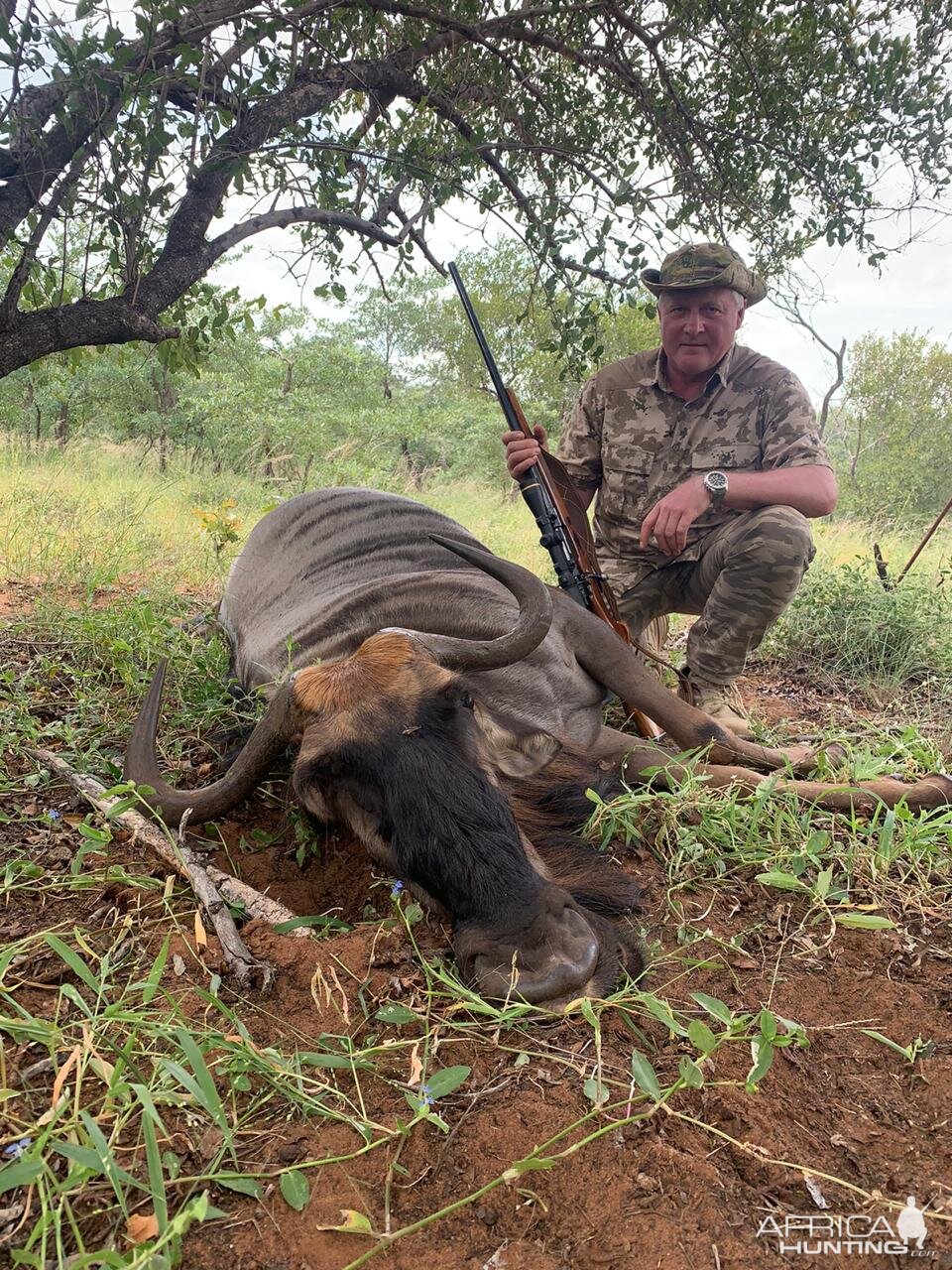 Blue Wildebeest Hunt South Africa