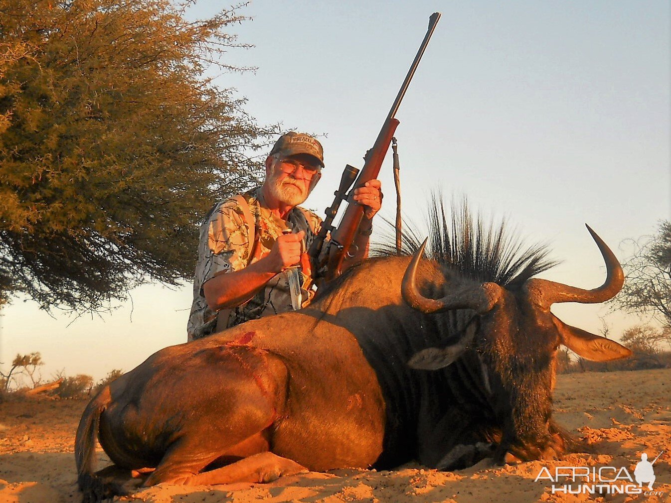 Blue Wildebeest Hunt