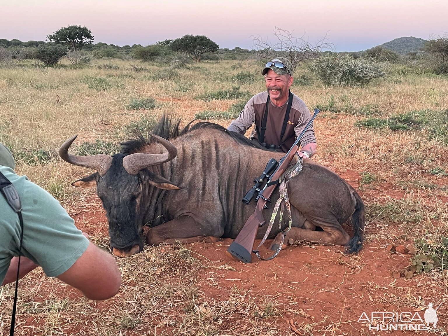 Blue Wildebeest Hunt