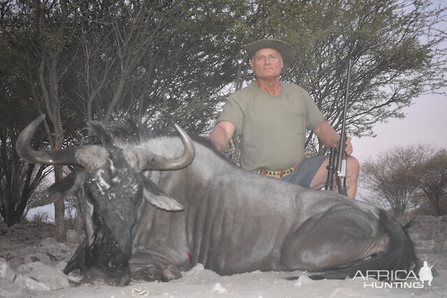 Blue Wildebeest Hunting Botswana