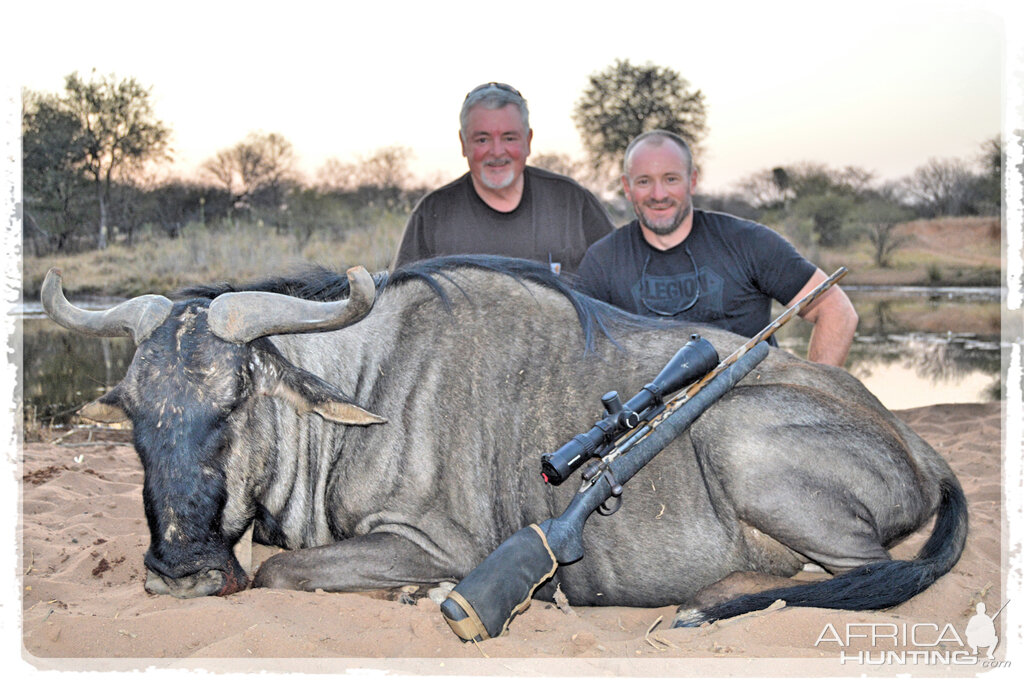 Blue Wildebeest Hunting in South Africa