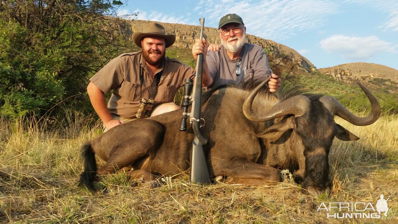 Blue Wildebeest Hunting in South Africa