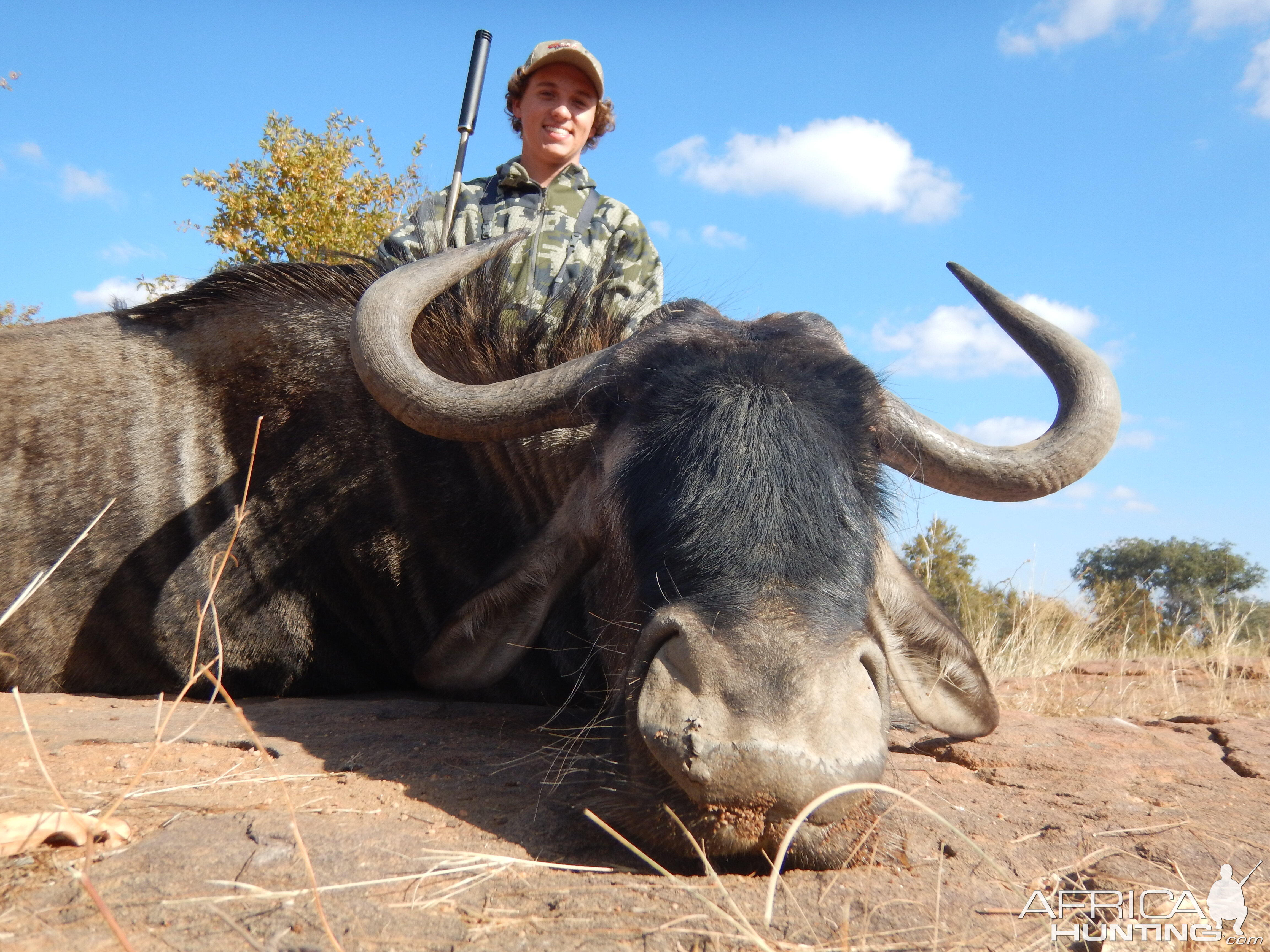 Blue Wildebeest Hunting in South Africa