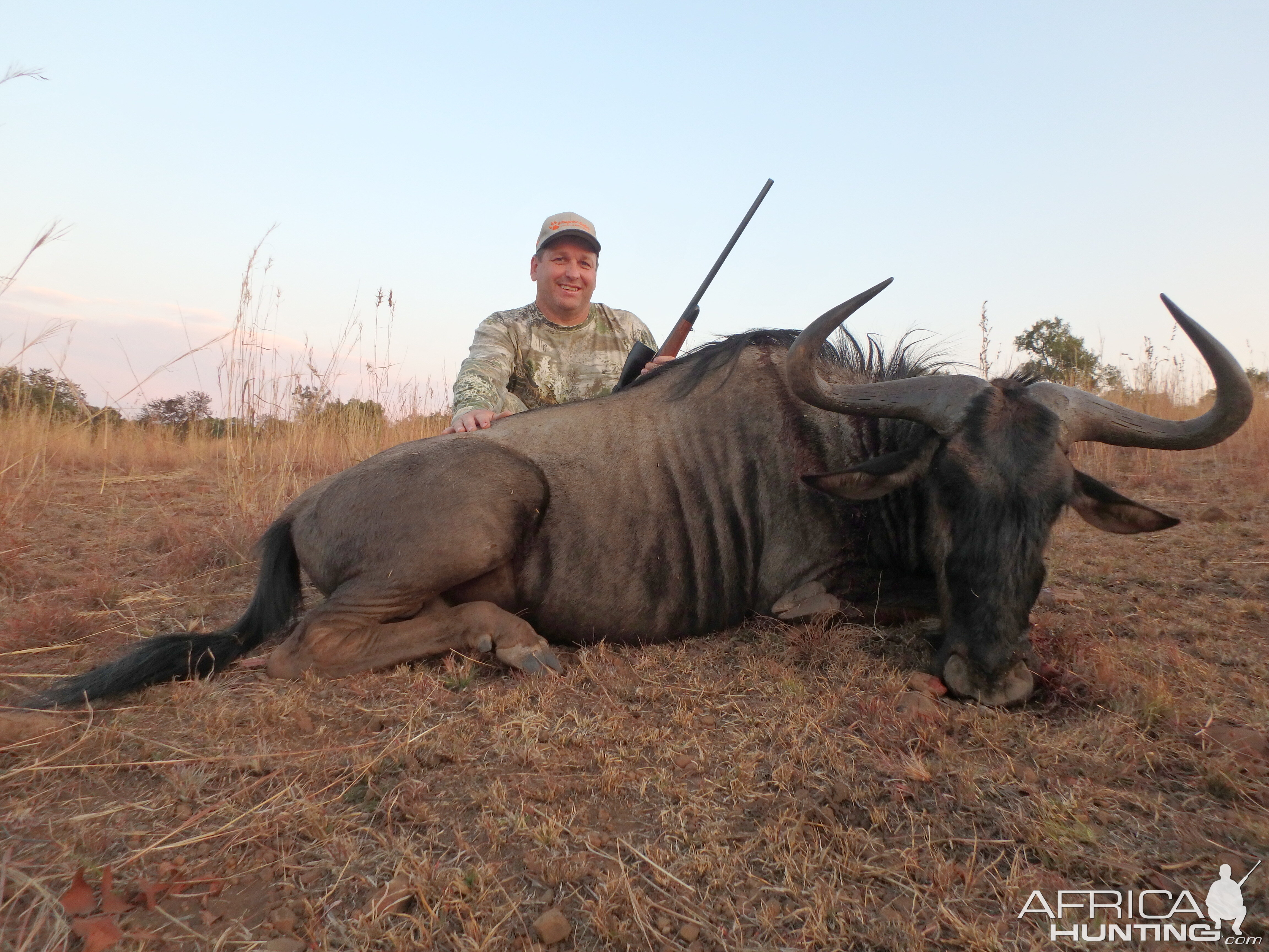 Blue Wildebeest Hunting in South Africa