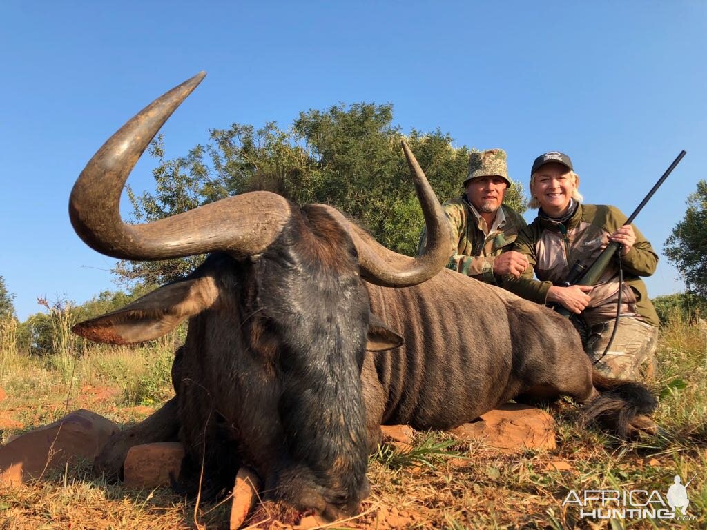 Blue Wildebeest Hunting in South Africa