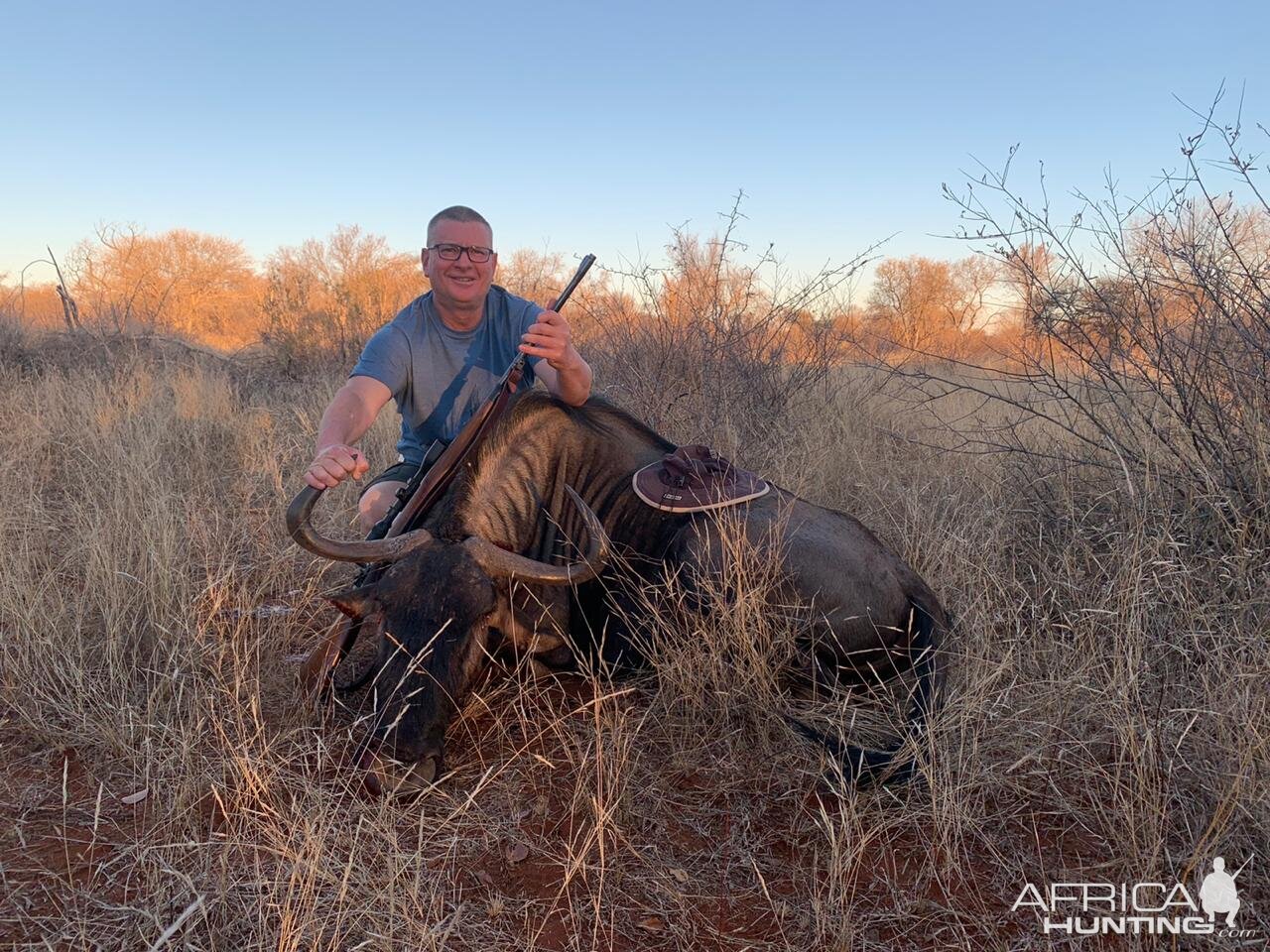 Blue Wildebeest Hunting South Africa