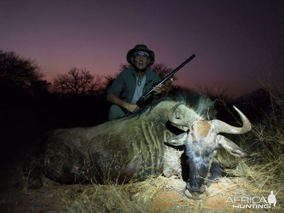 Blue Wildebeest Hunting South Africa