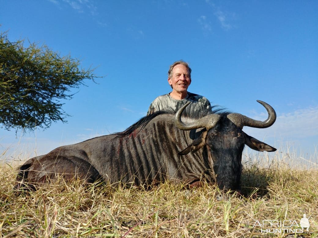 Blue Wildebeest Hunting  South Africa