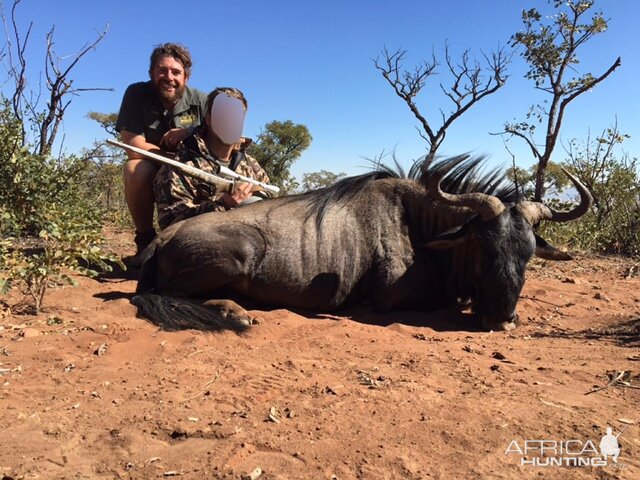 Blue Wildebeest Hunting