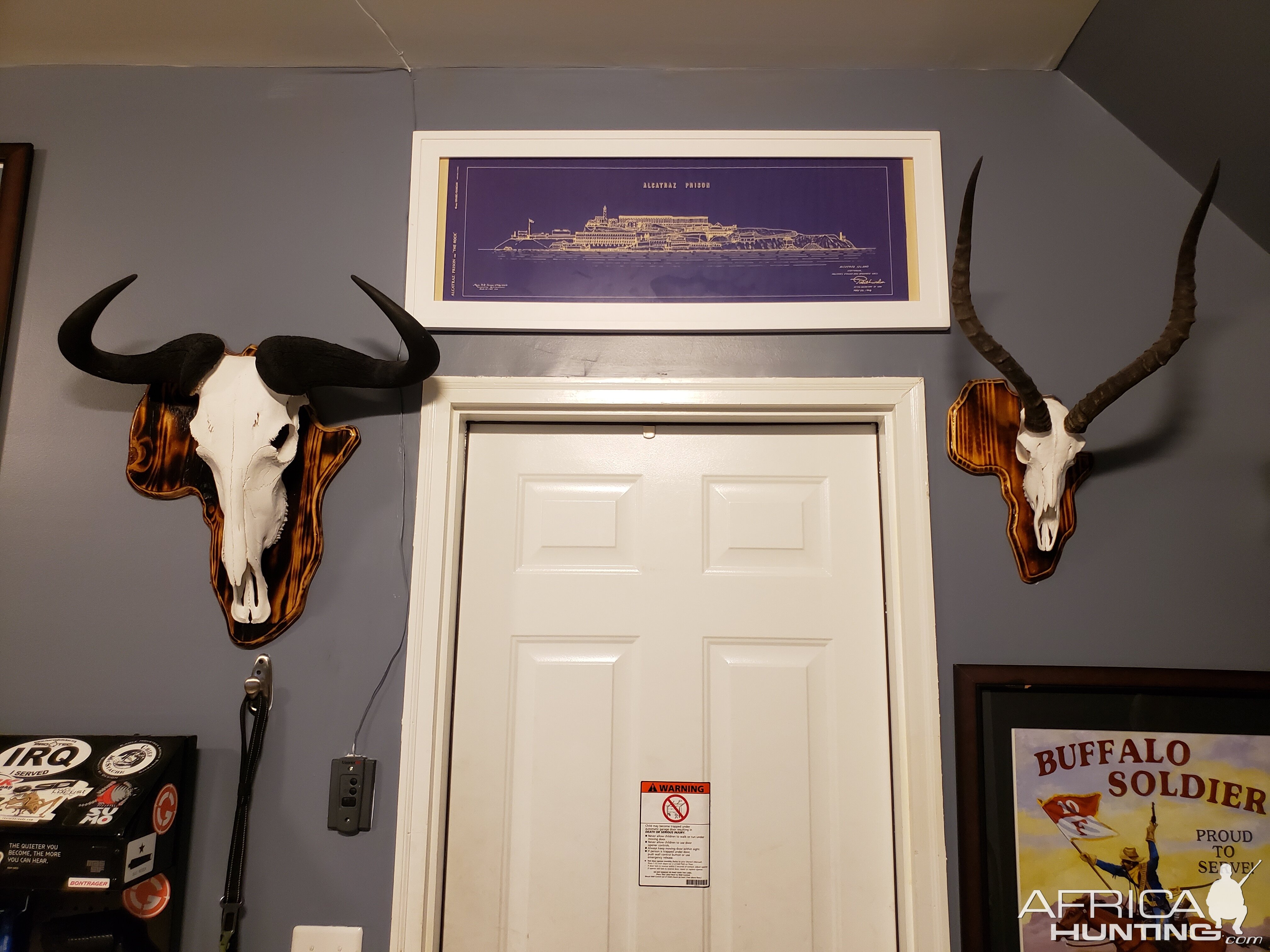 Blue Wildebeest & Impala European Skull Mounts Taxidermy