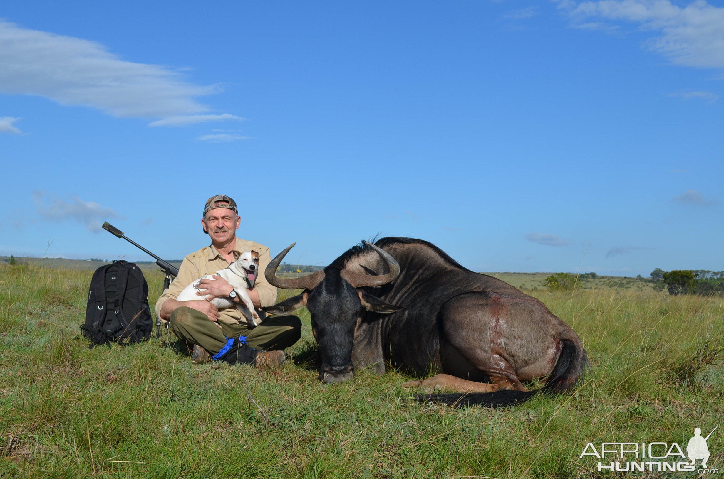 Blue Wildebeest KMG Hunting Safaris