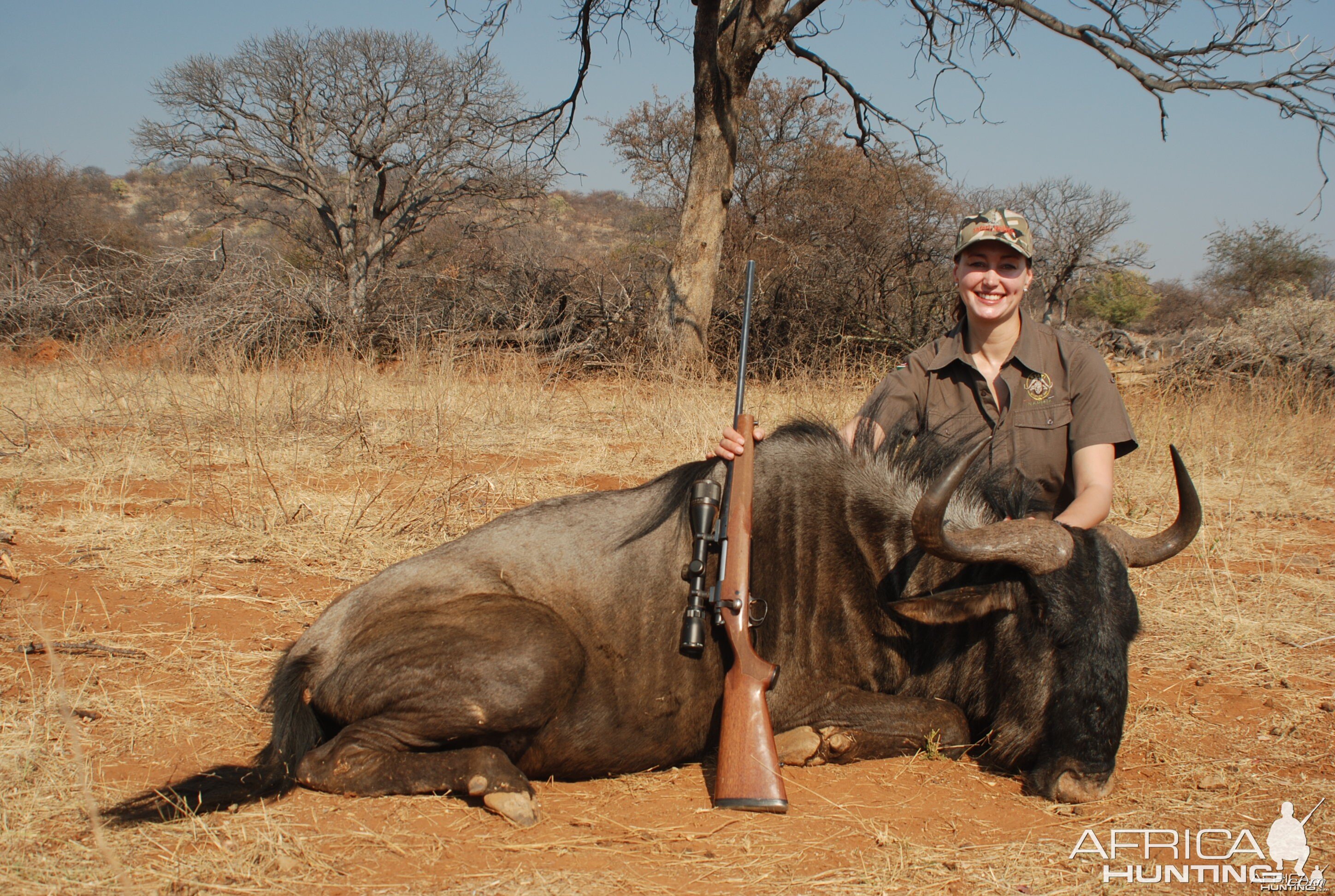 Blue Wildebeest - Lindenhof Safaris