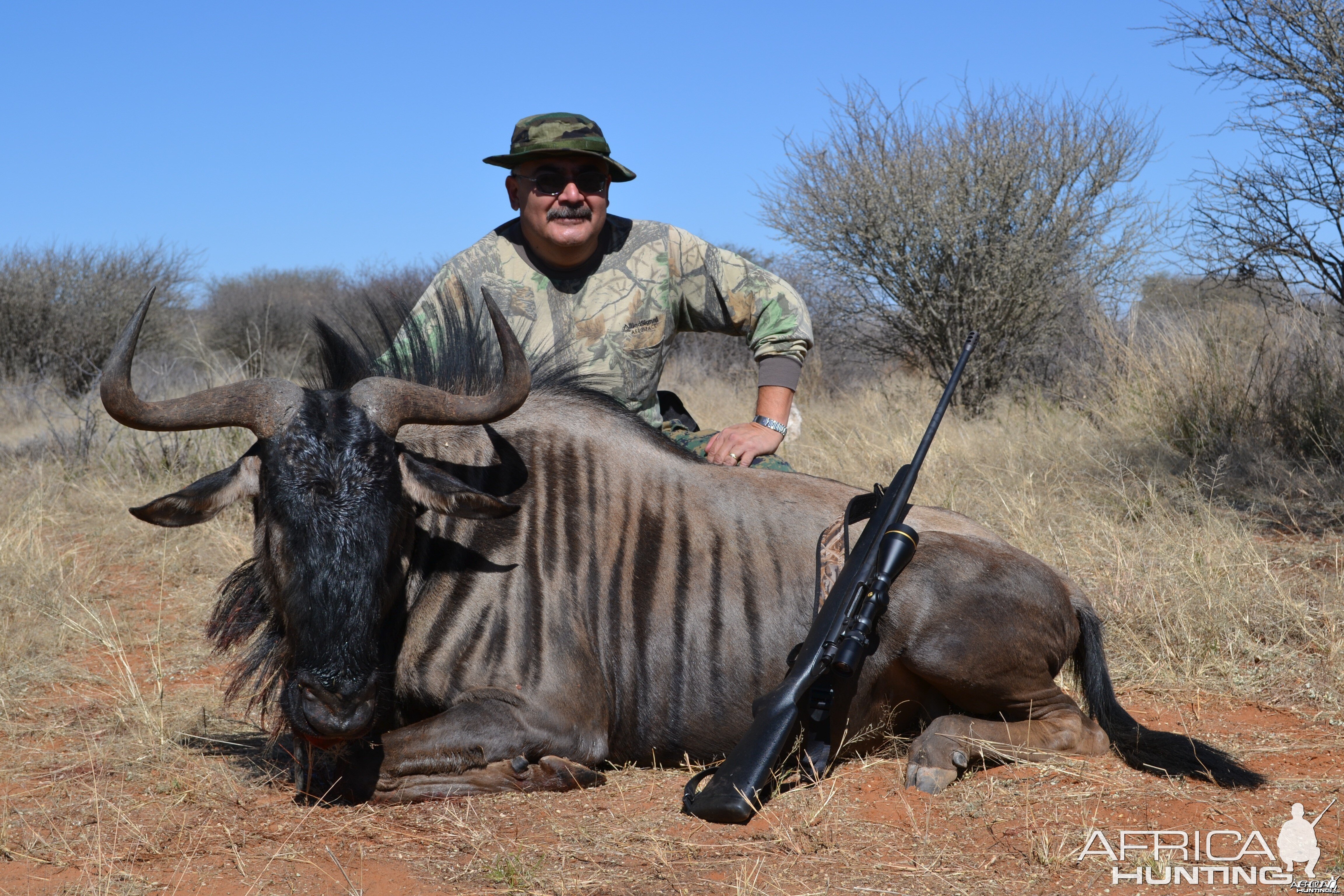 Blue wildebeest trophy harvested with Kowas Hunting Safaris