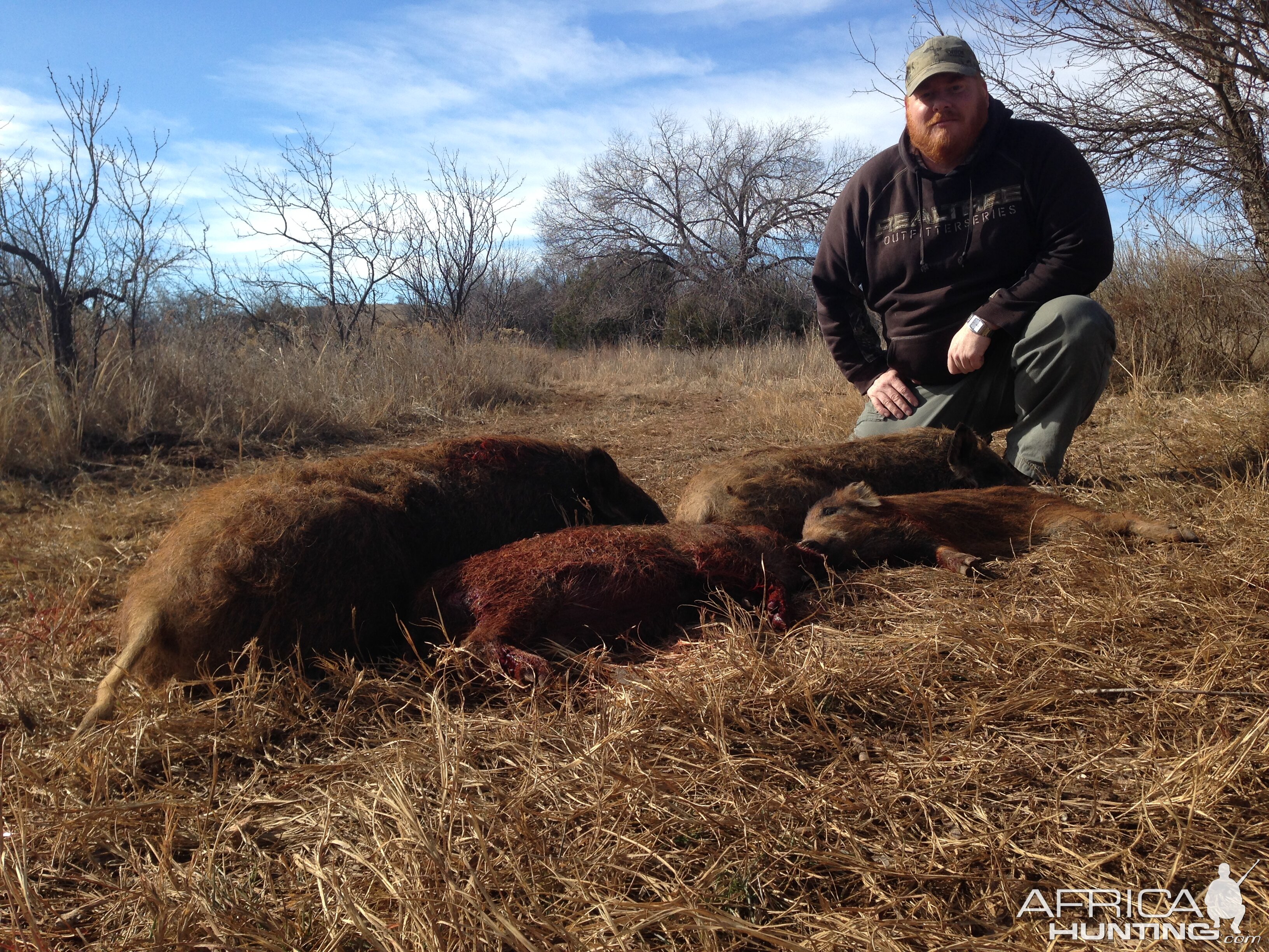 Boar Hunt Texas USA