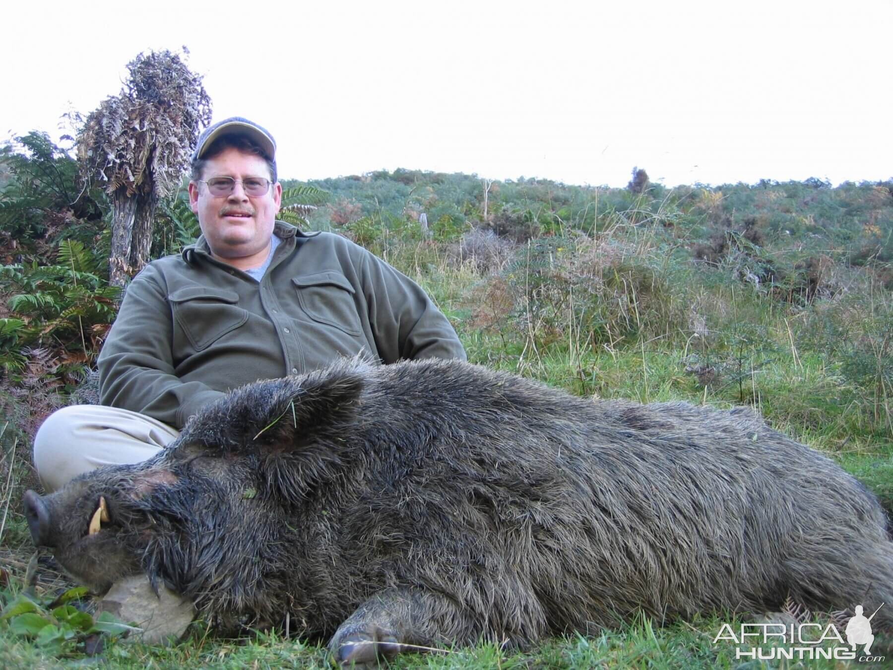 Boar Hunting New Zealand