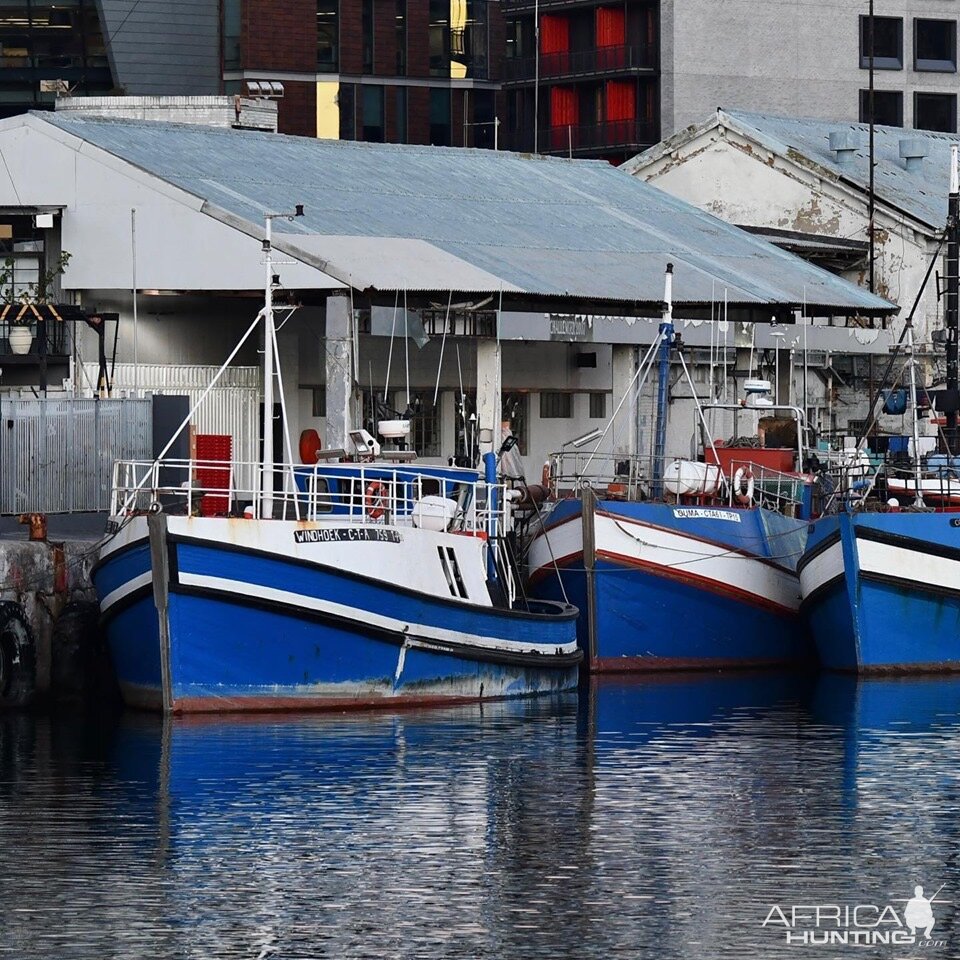 Boats